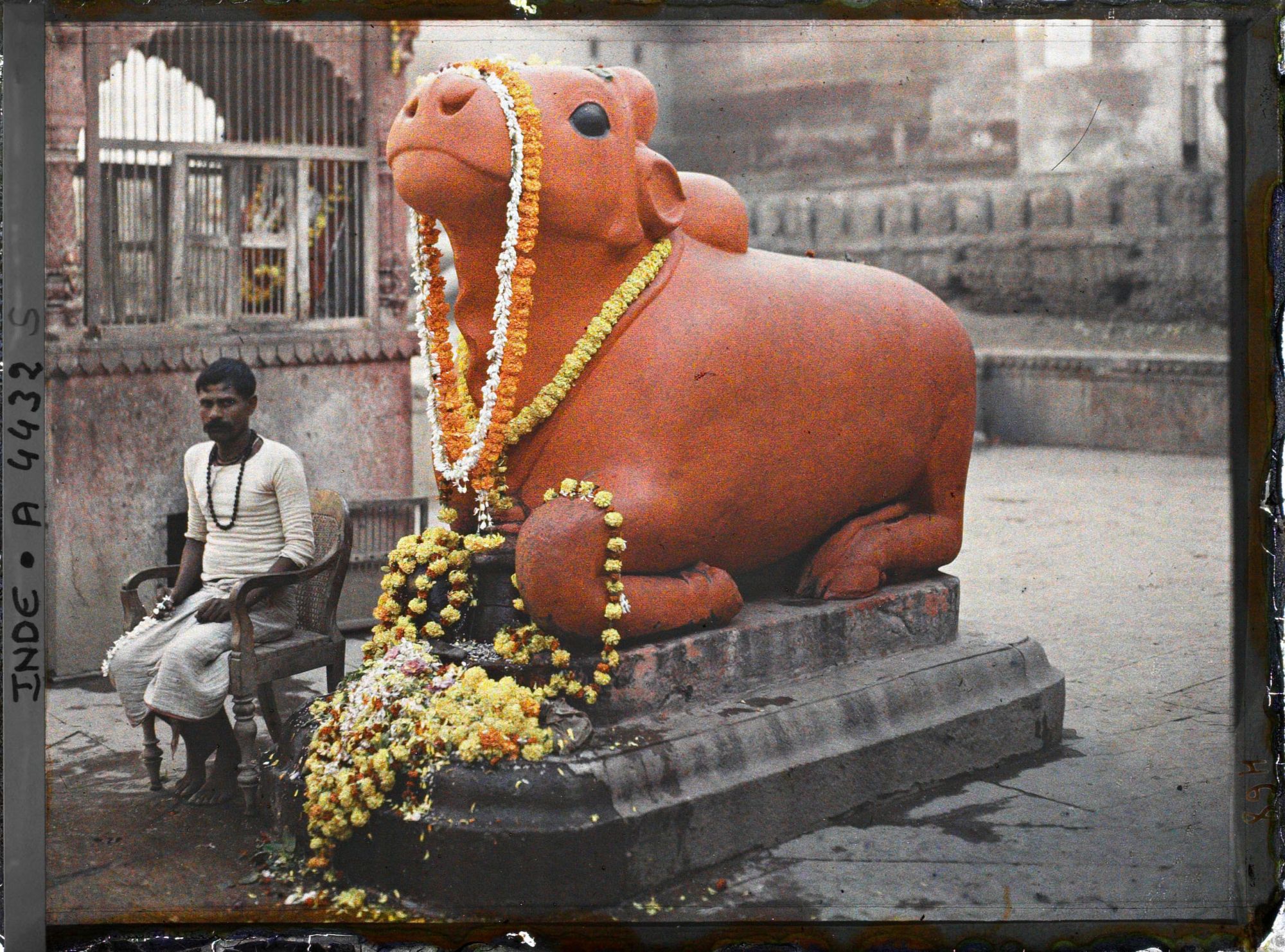 Image représentant Kashi Vishwanath (le Temple d'Or) : statue du taureau sacré Nandi (ou Nandin), monture de Shiva, ornée de guirlandes d'œillets d'Inde