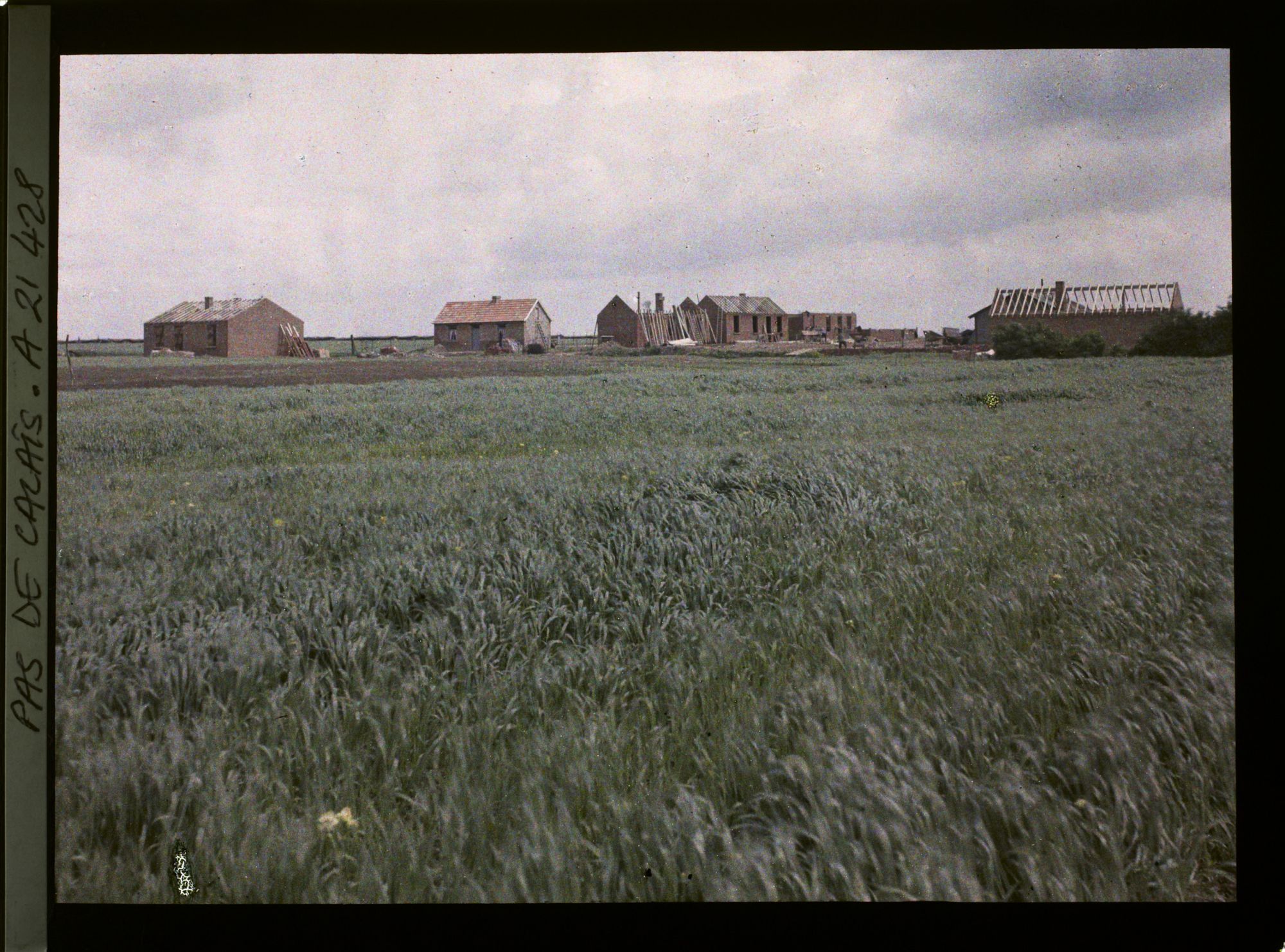 Image représentant France, Givenchy, Construction du nouveau village et Champ de blé
