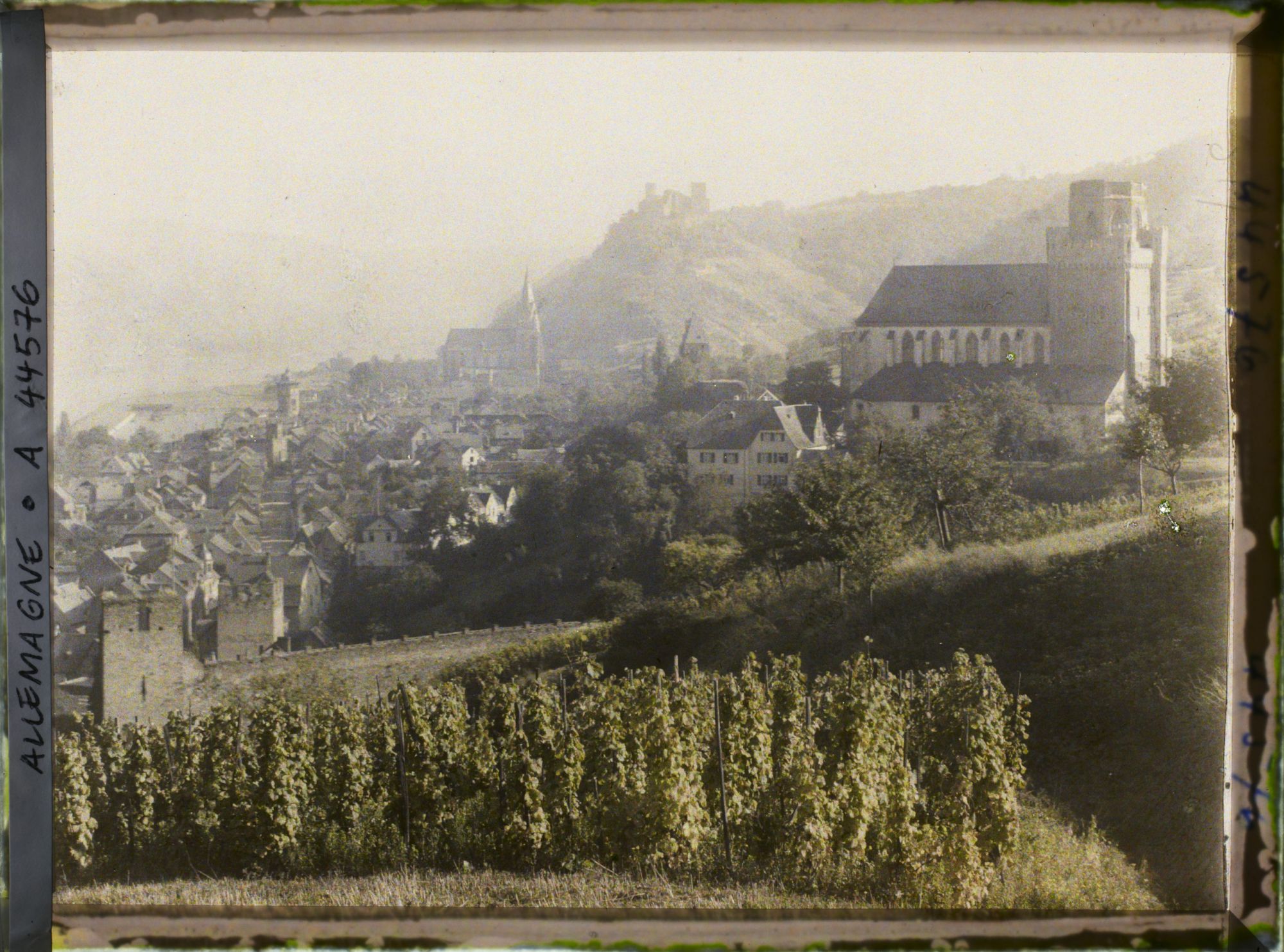 Image représentant Allemagne, Oberwesel, Panorama vers St Martin et le Rhin