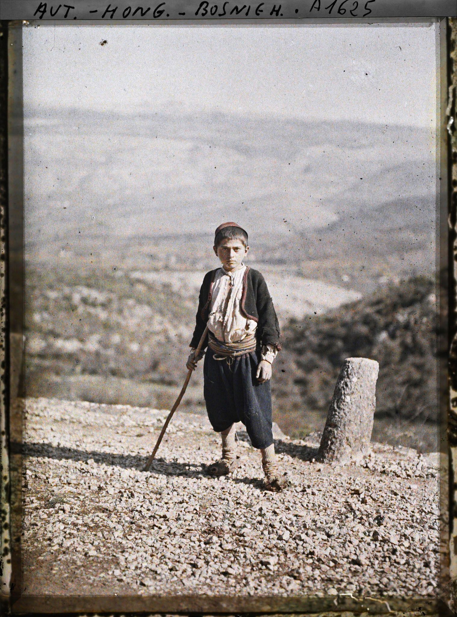 Image représentant Petit berger croate catholique