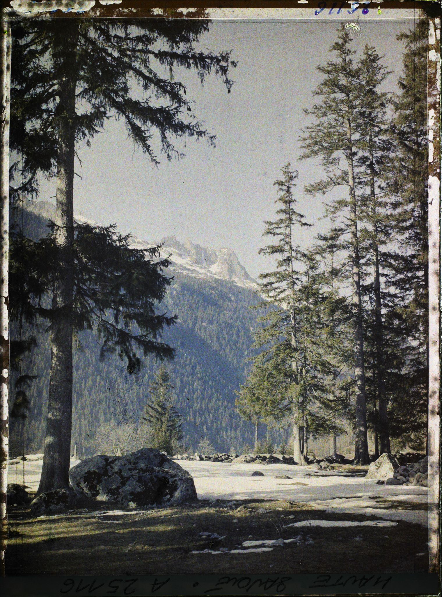 Image représentant France Les Alpes, Vallée de Chamonix, Du Village des Bois : Chaîne du Brévent, les Aiges Rouges