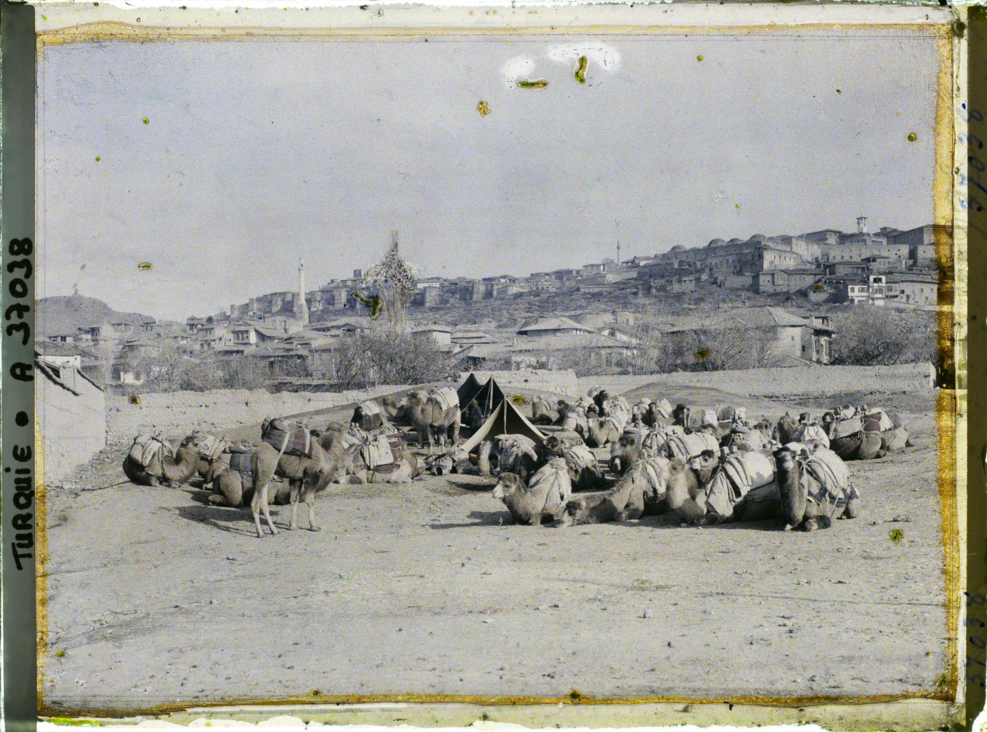 Image représentant Caravane de chameaux au repos au pied de la ville