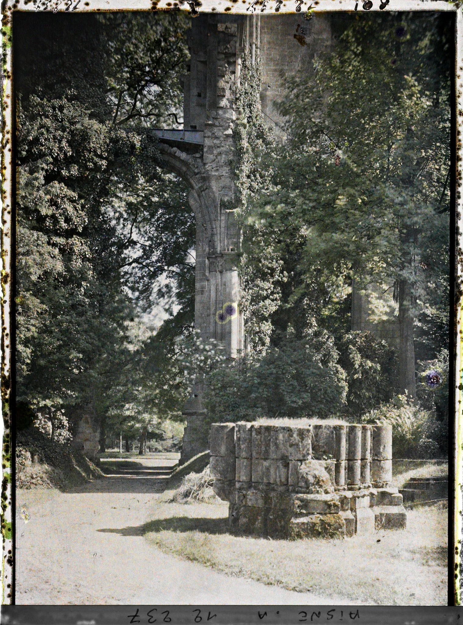Image représentant Les vestiges de l'ancienne abbaye cistercienne fondée en 1132