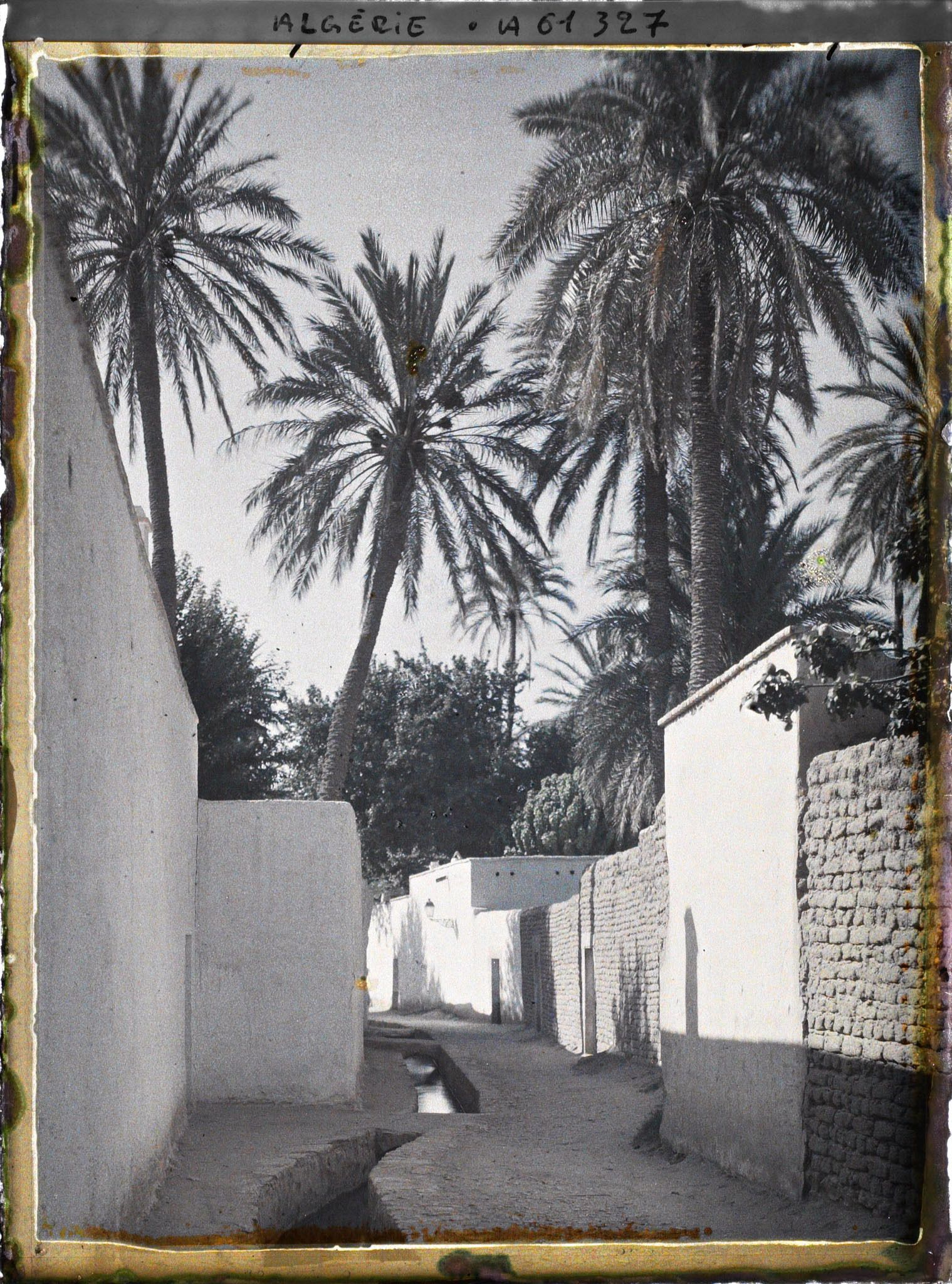 Image représentant La Grande Séghia