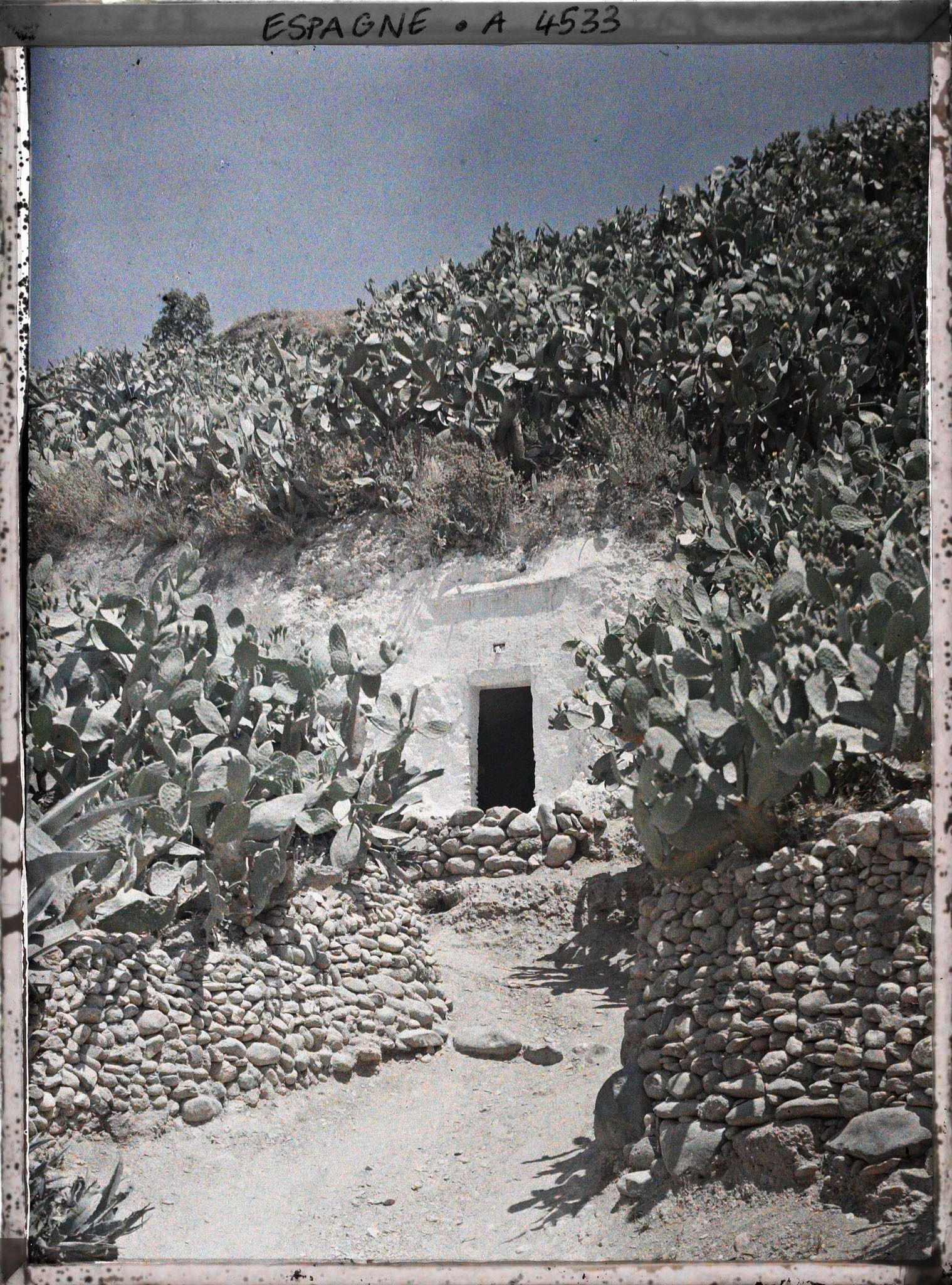 Image représentant Maison troglodyte et figuiers de Barbarie dans le quartier de Sacromonte