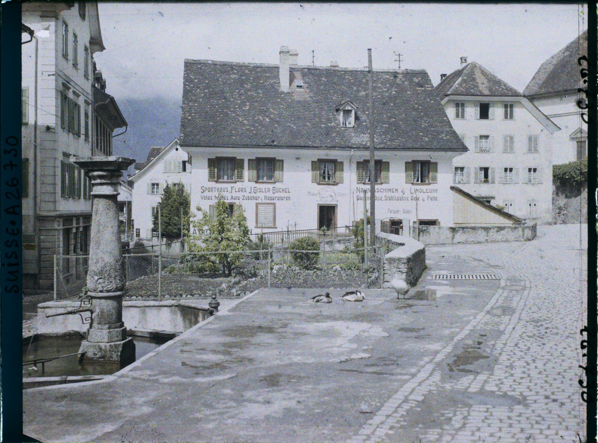 Image représentant Une fontaine dans le village d'Altdorf