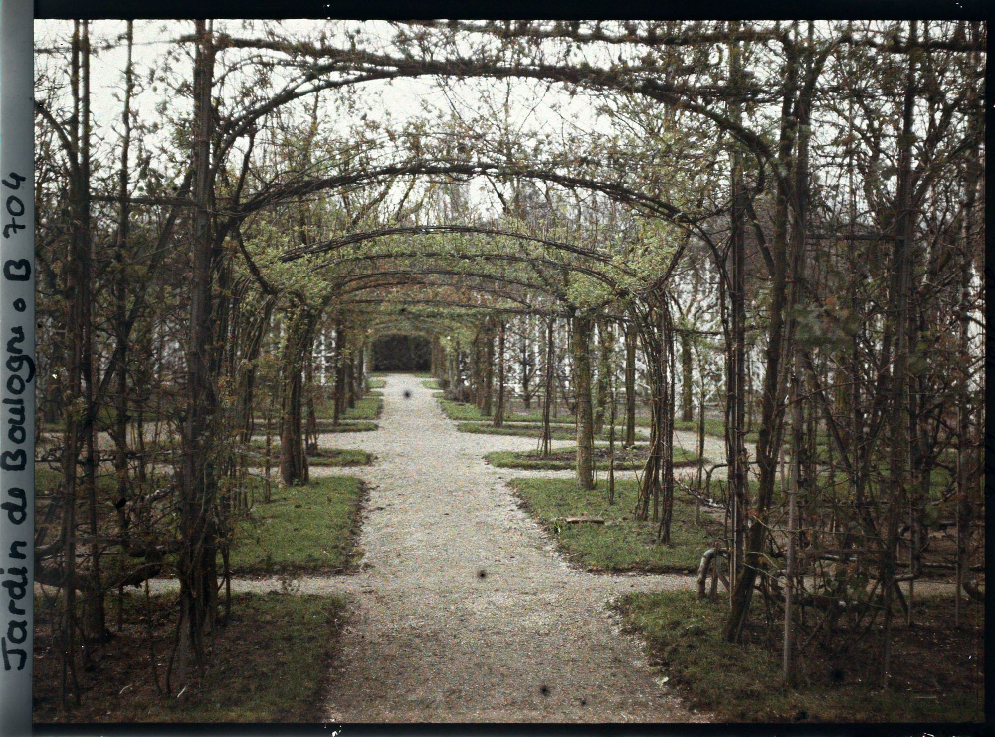 Image représentant Axe central du verger-roseraie vu en direction de la dépendance, à la limite du jardin français