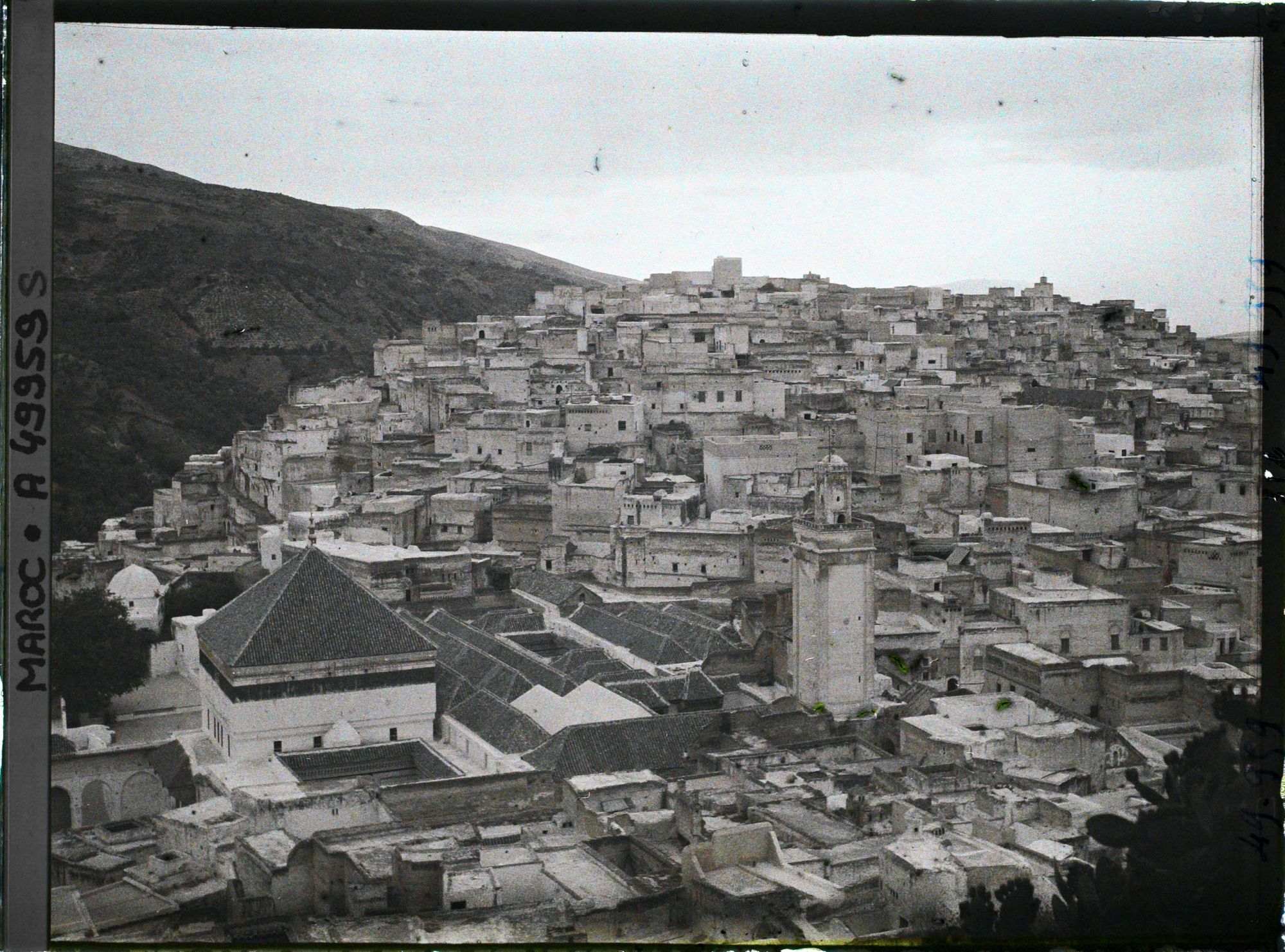 Image représentant La mosquée de Moulay Idriss