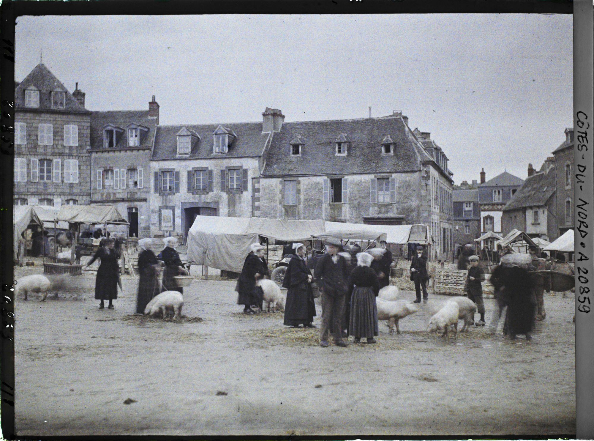 Image représentant Une foire aux cochons sur la place du Marchallac'h