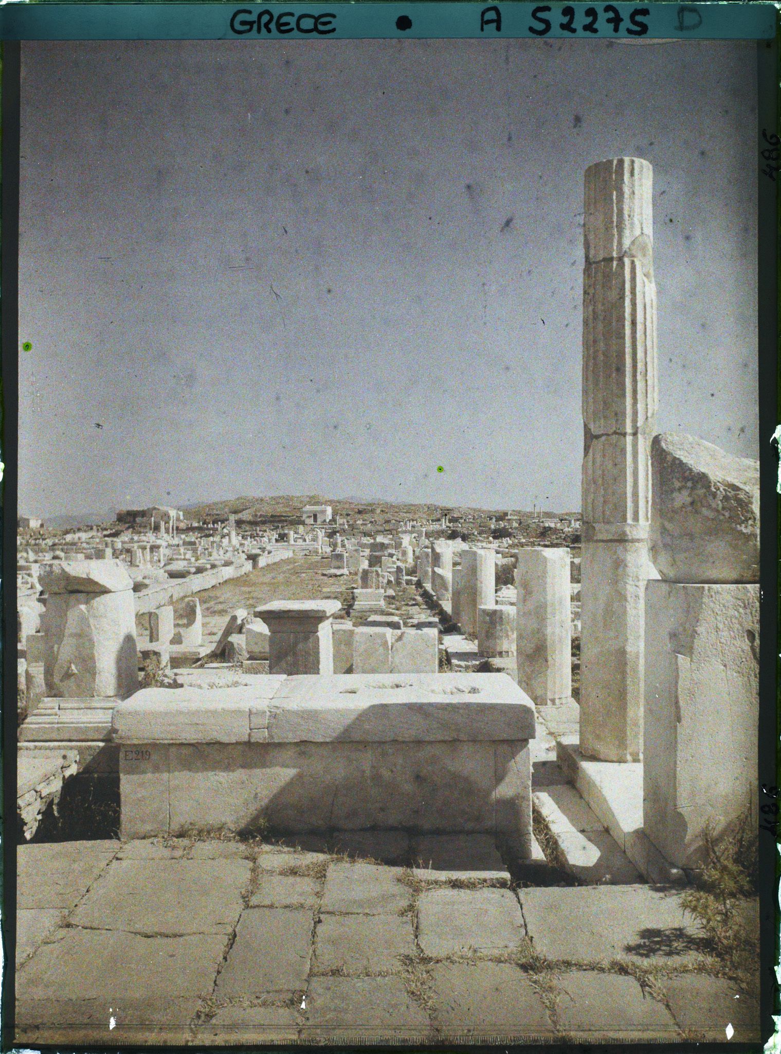 Image représentant Quartier du Hieron (sanctuaire) d'Apollon, l'avenue des Processions conduisant au Hieron (direction nord)