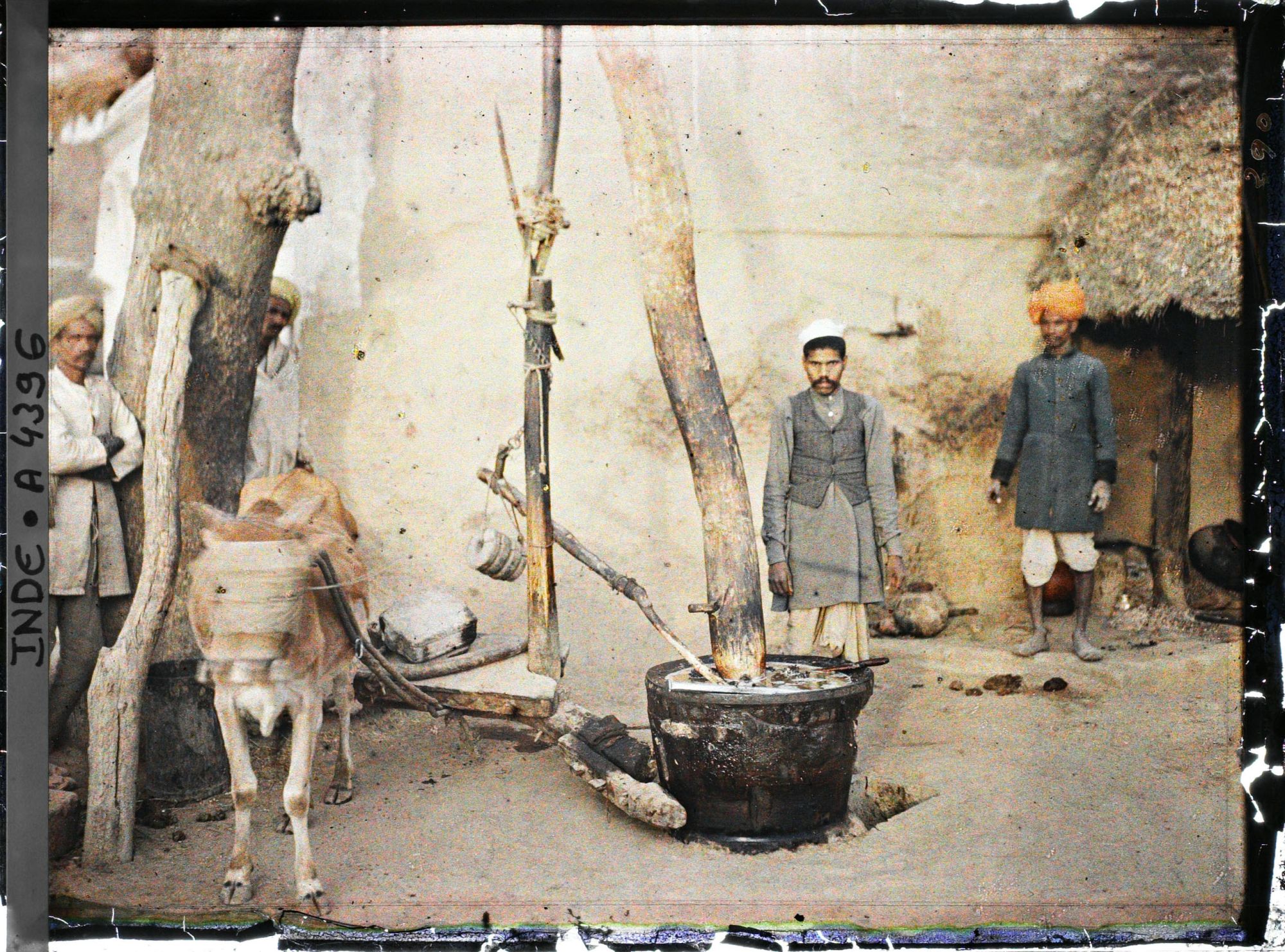 Image représentant Un moulin à huile entraîné par un bœuf aux yeux bandés