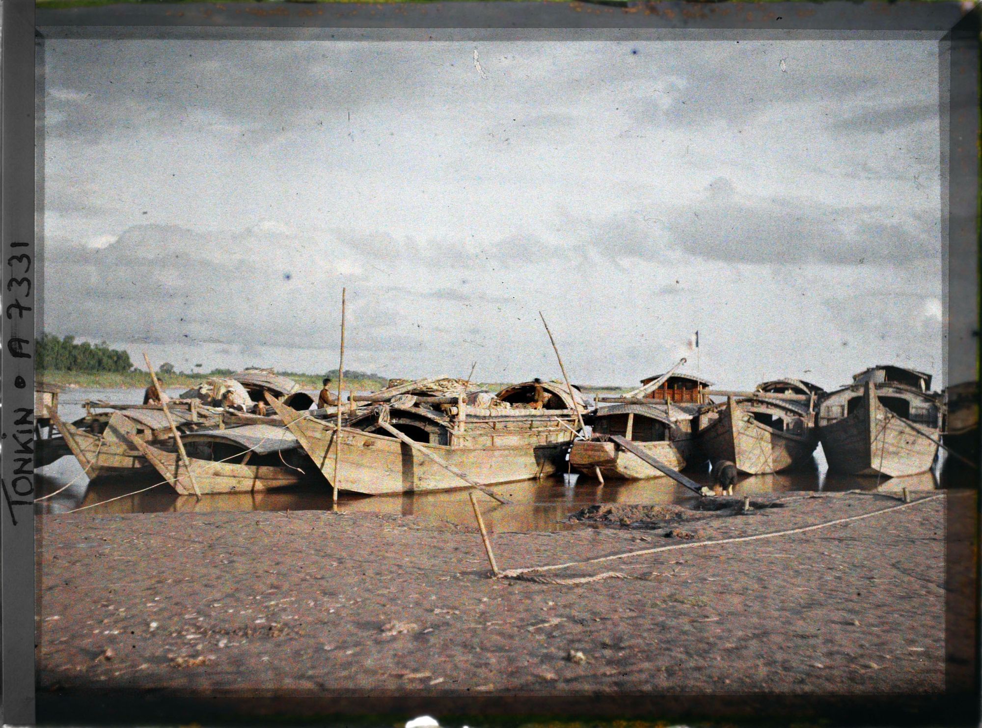 Image représentant Des sampans amarrés aux rives du Fleuve Rouge, l'après midi