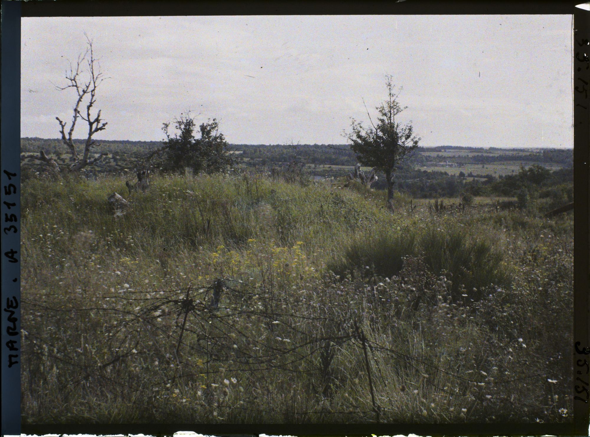 Image représentant France, Vienne le Château , Secteur S-E de St Thomas, plateau situé s/ la route de Binarville