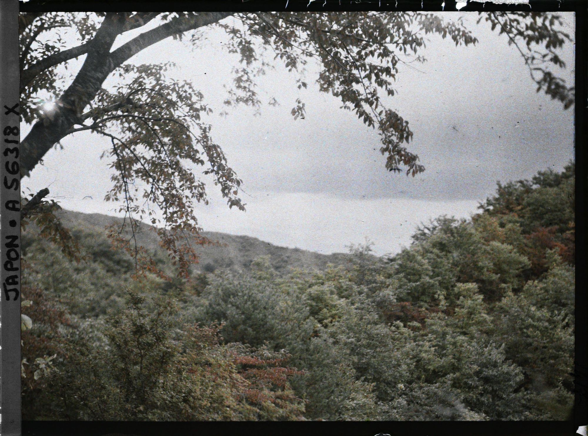 Image représentant Paysage