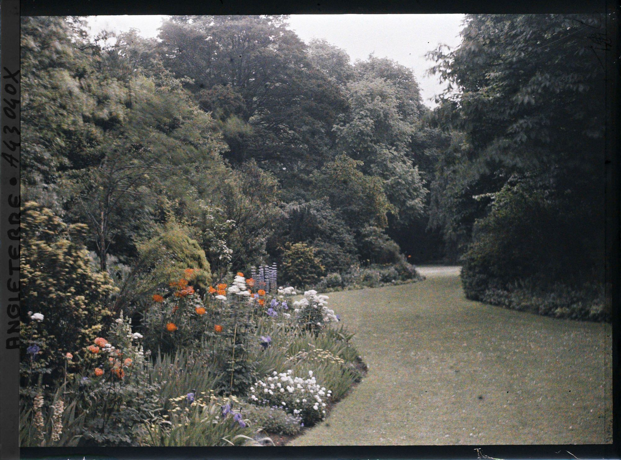 Image représentant Vue du jardin du Saint John's College