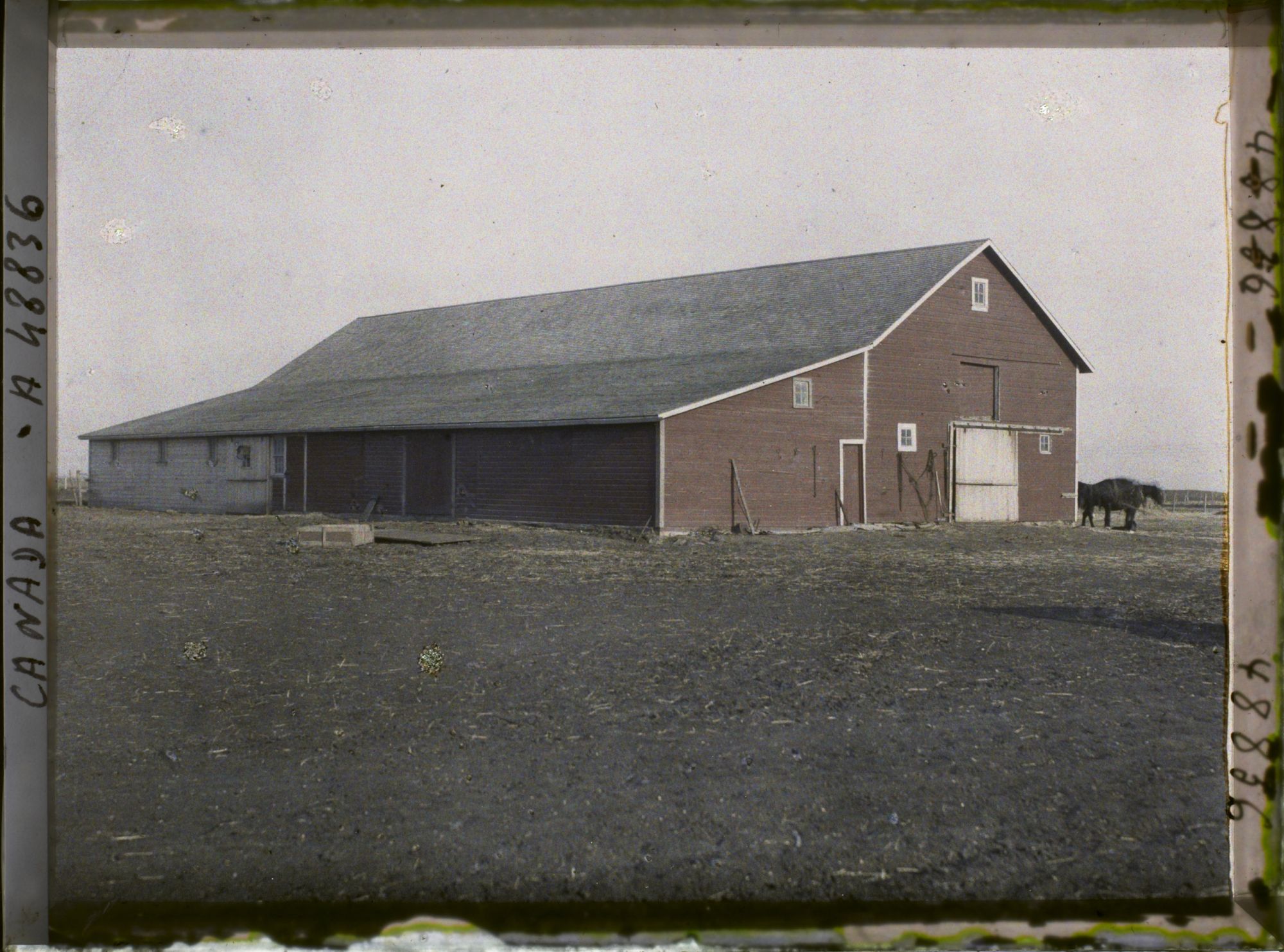 Image représentant Canada, Elie, Une ferme: Ecurie