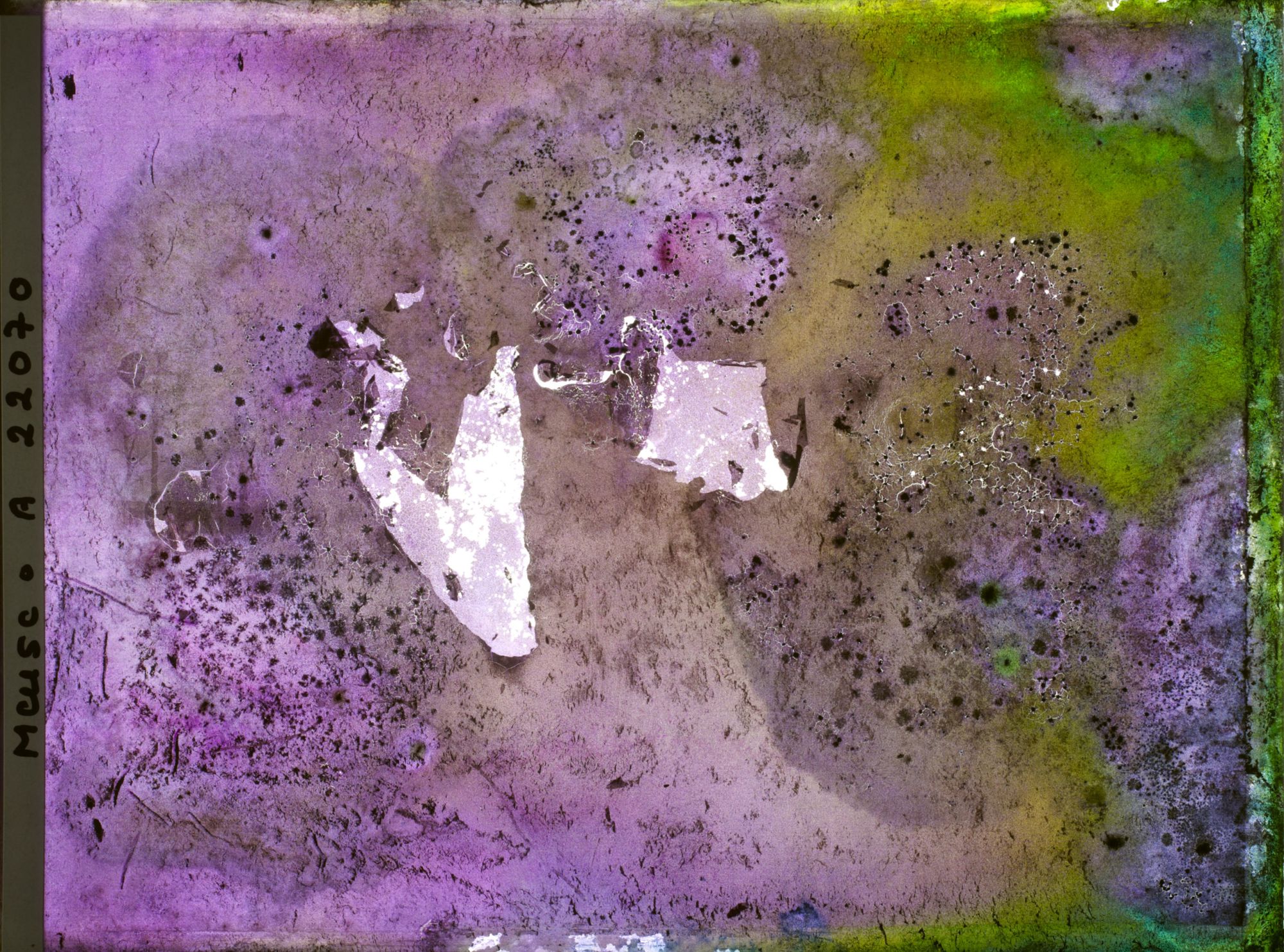 Image représentant Image illisible, plaque endommagée par l'eau (altérations d'époque)