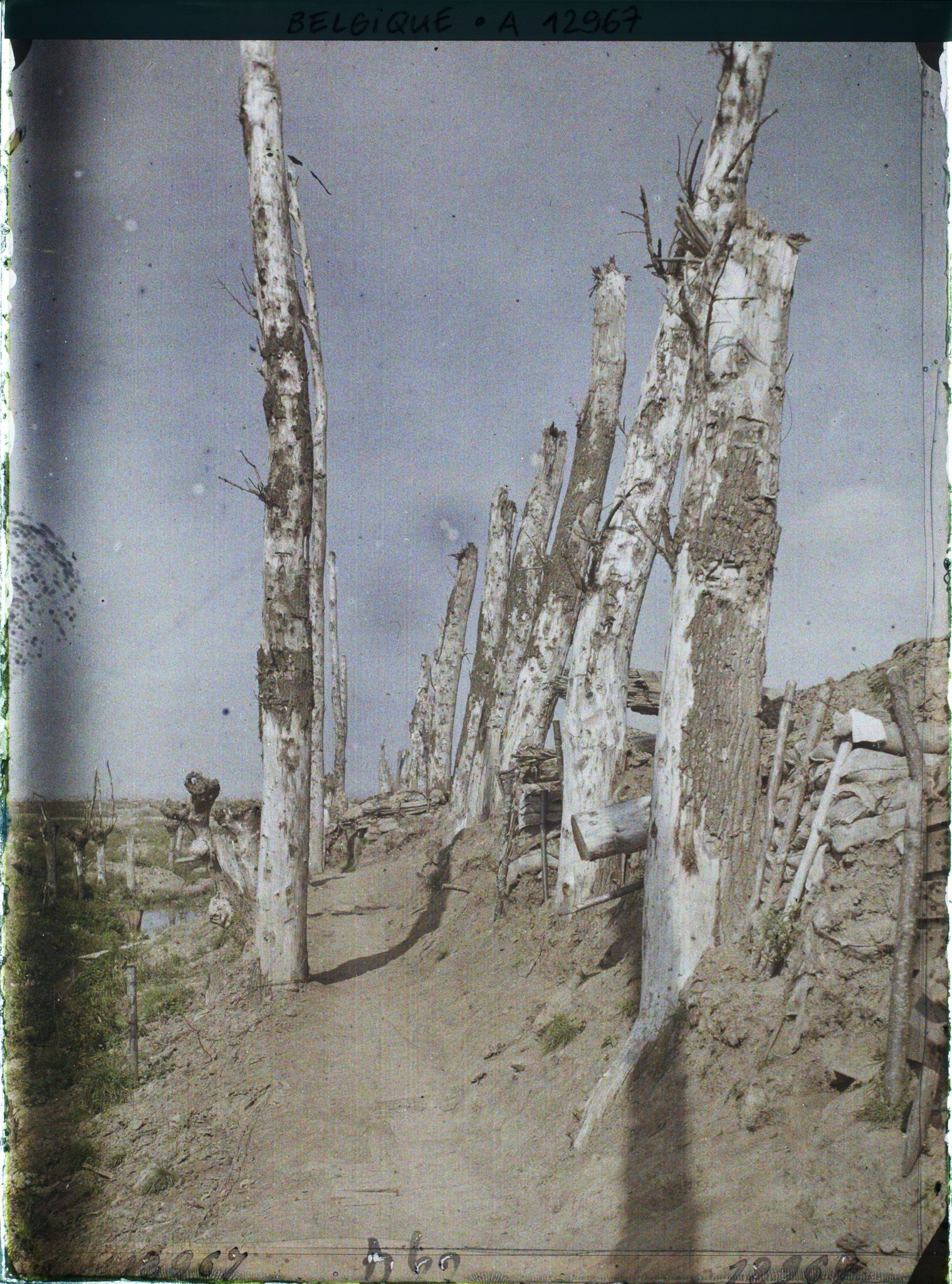 Image représentant Lignes de l'Yser près de l'Ecluse de Boesnighe, Ligne Française du Het-Sas
