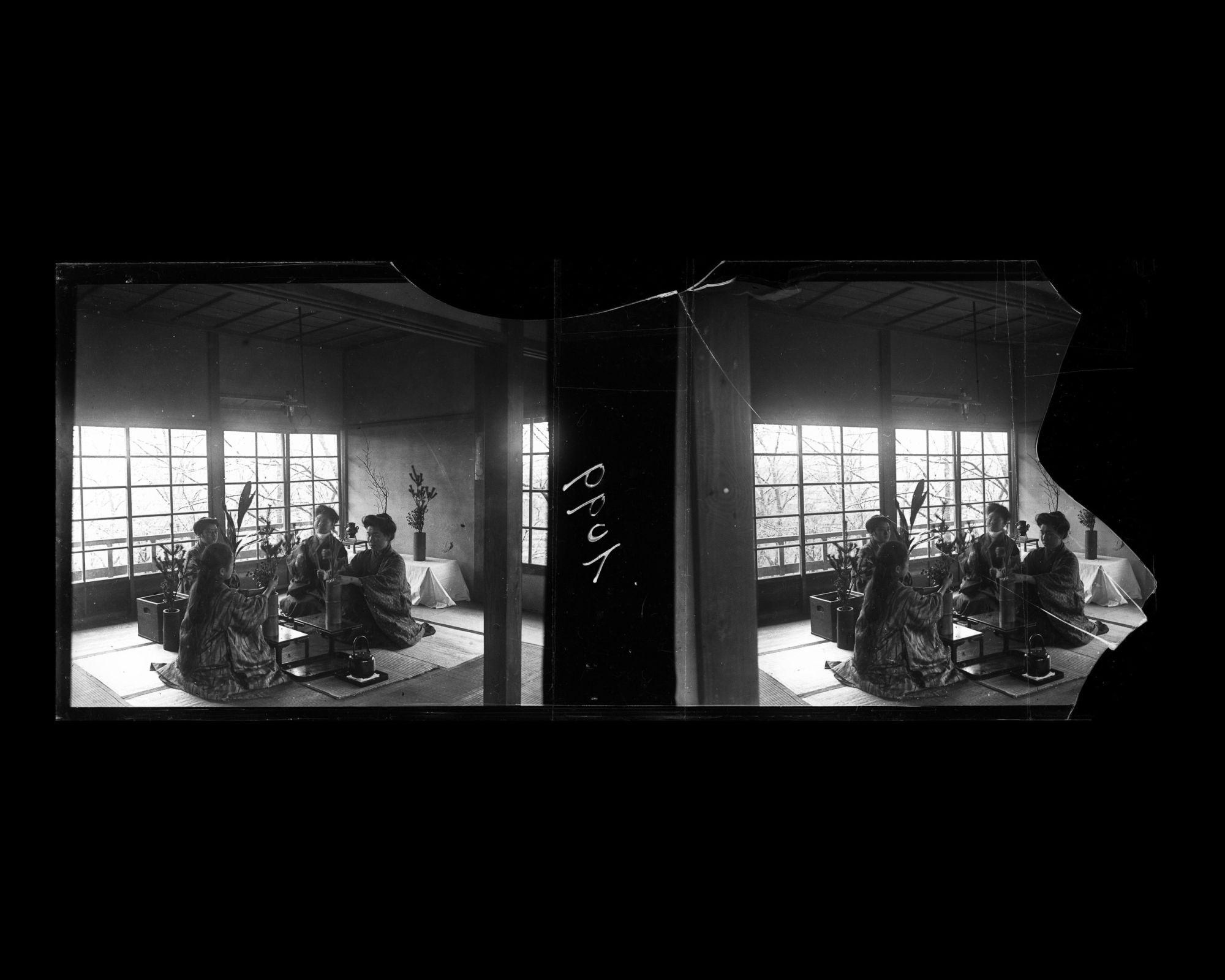 Image représentant Cours d'Ikebana à l'université de Jeunes filles