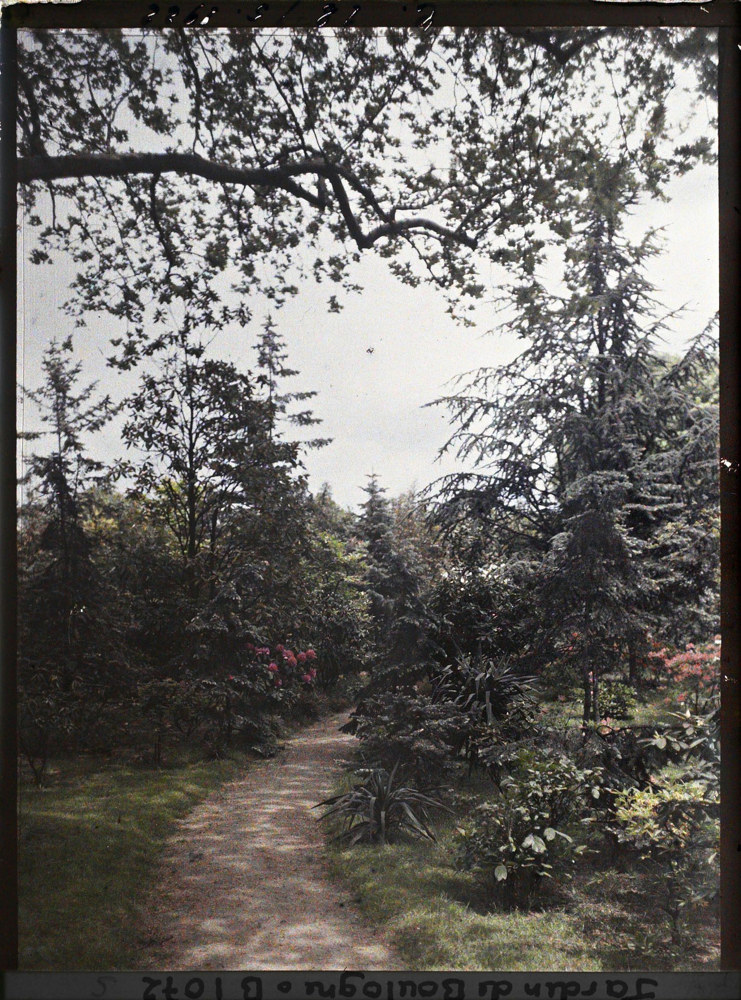 Image représentant chemin menant vers le marais