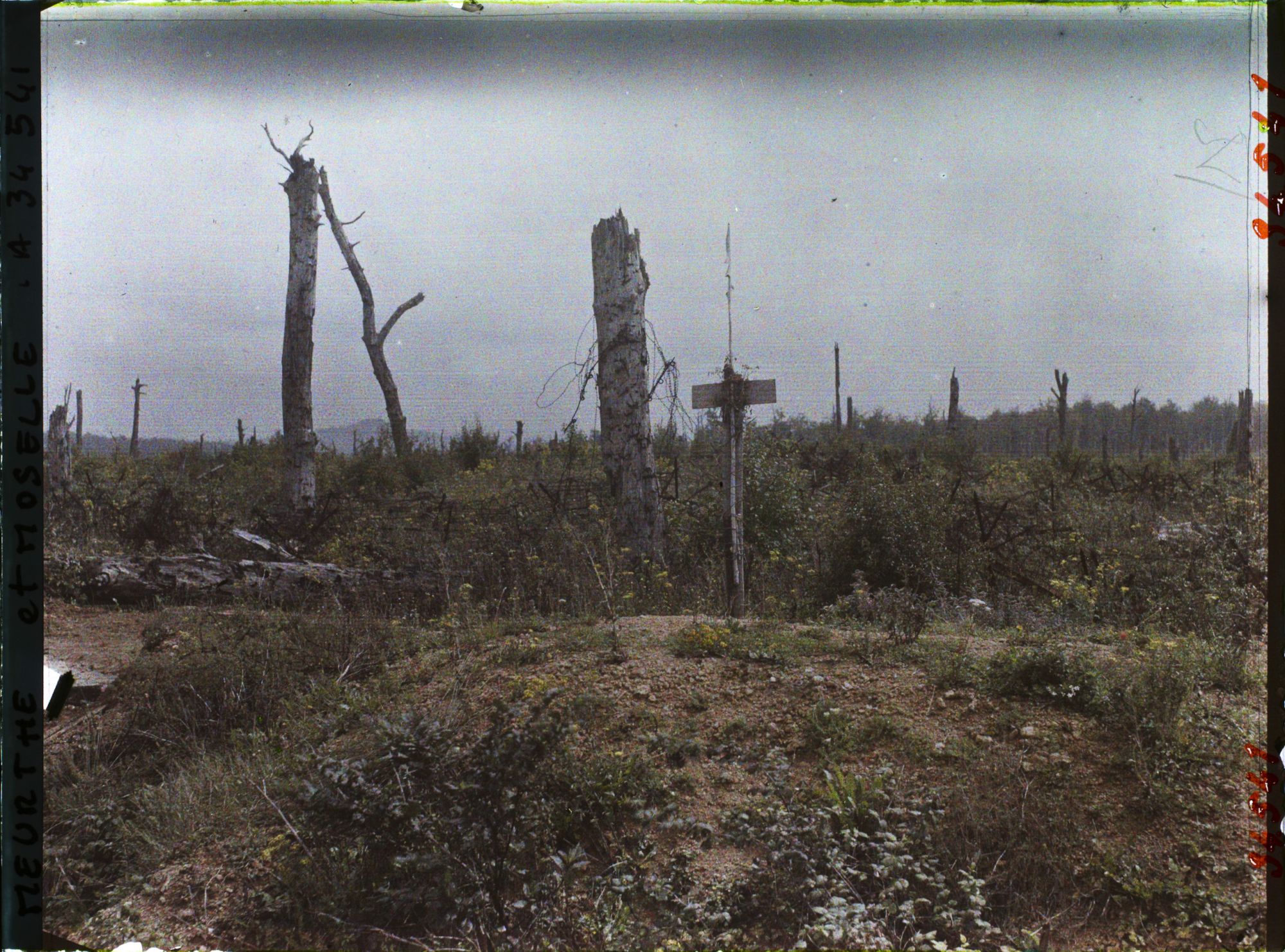 Image représentant France, Bois le Prêtre, Ancien emplacement de la Croix des Carmes
