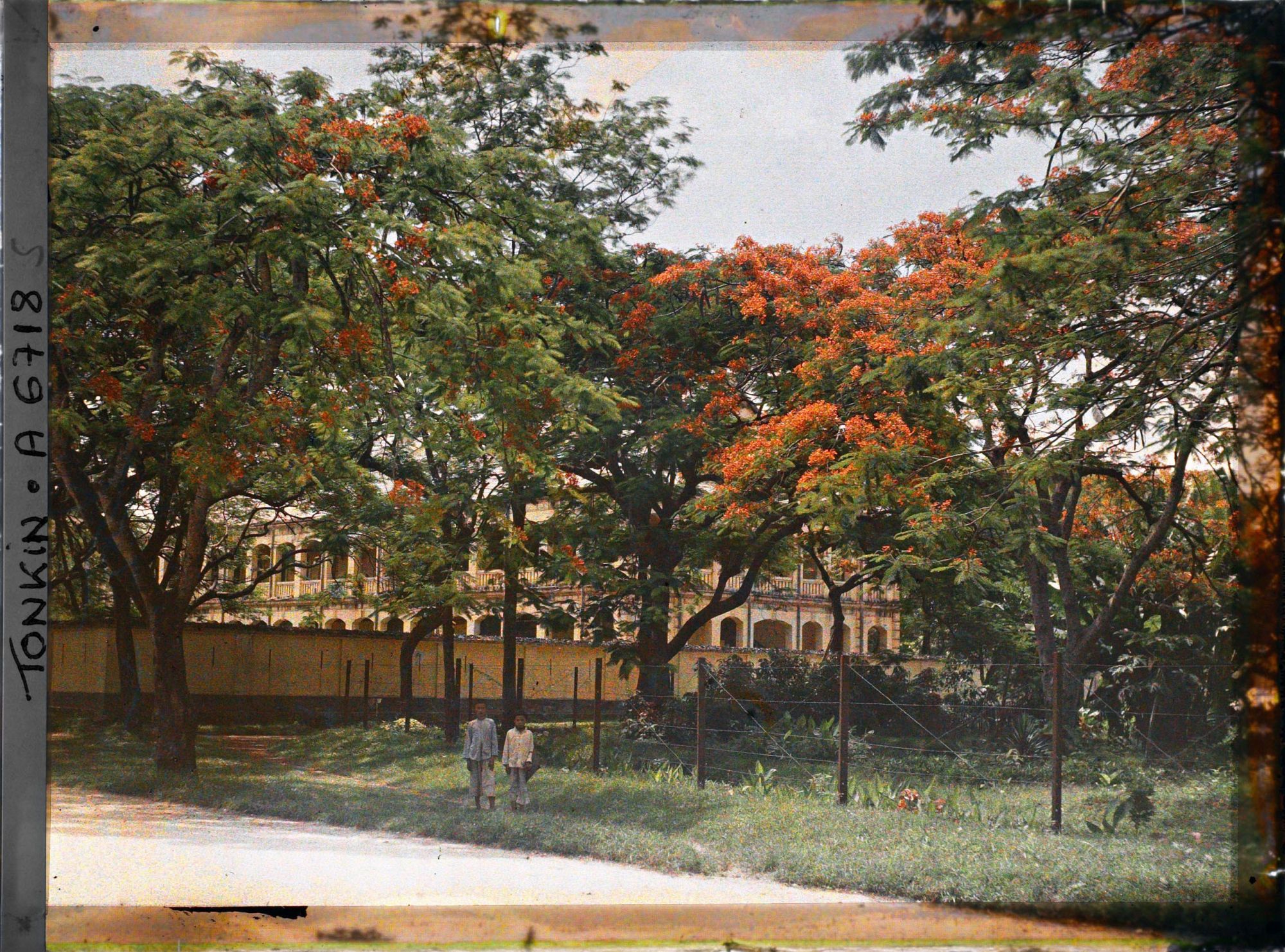 Image représentant Deux enfants sous les flamboyants bordant l'avenue Général Bichot