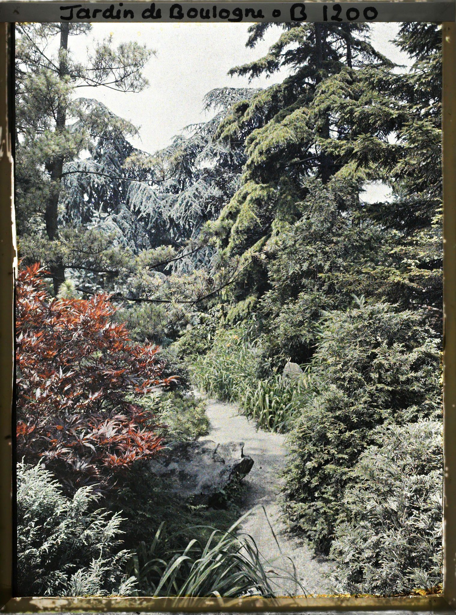 Image représentant Chemin du " village japonais " longeant le jardin français en direction du " sanctuaire japonais " ?