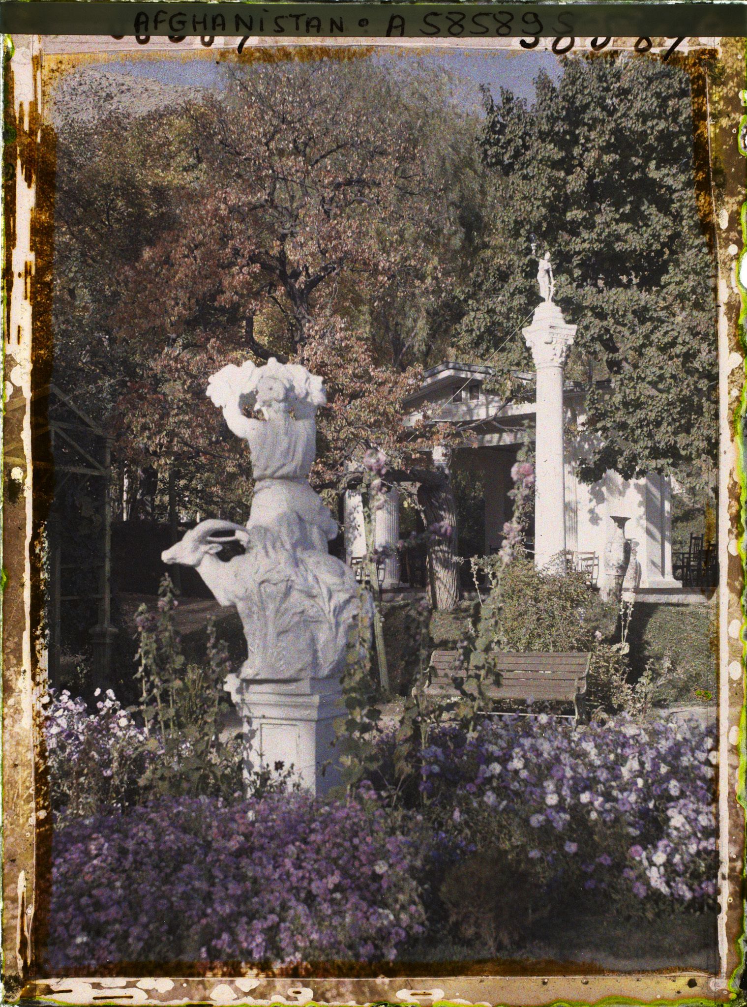 Image représentant Afghanistan, Kaboul, Jardin du Palais du Roi - Une vue dans le Jardin