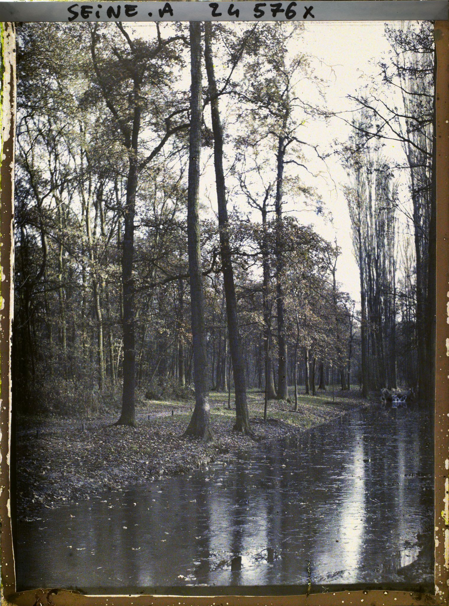 Image représentant Le bois de Vincennes