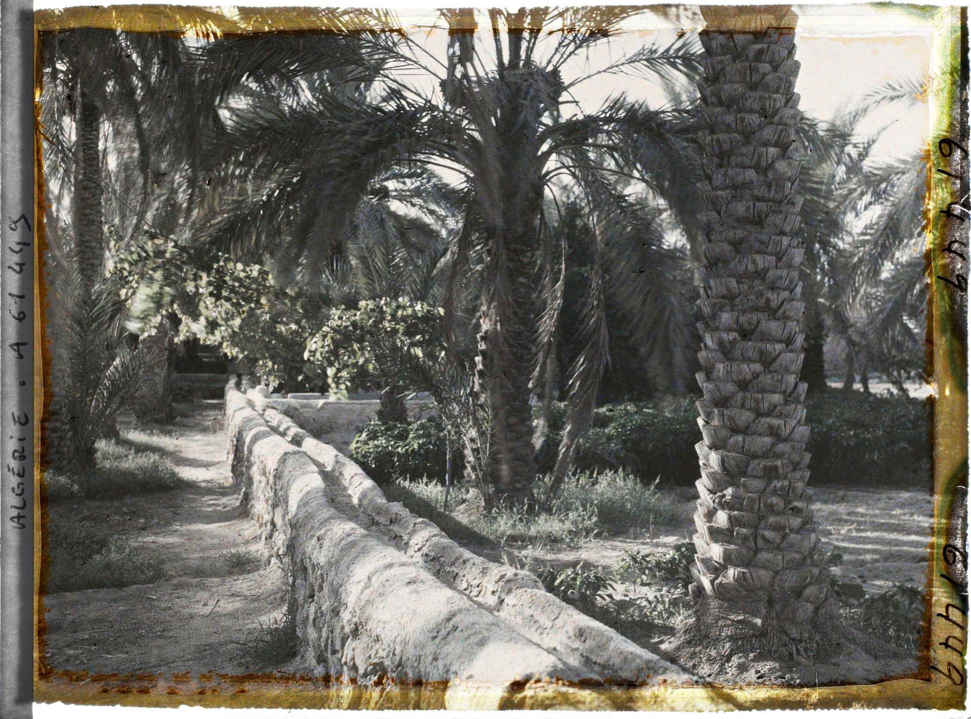 Image représentant Rigoles d'irrigation dans l'oasis