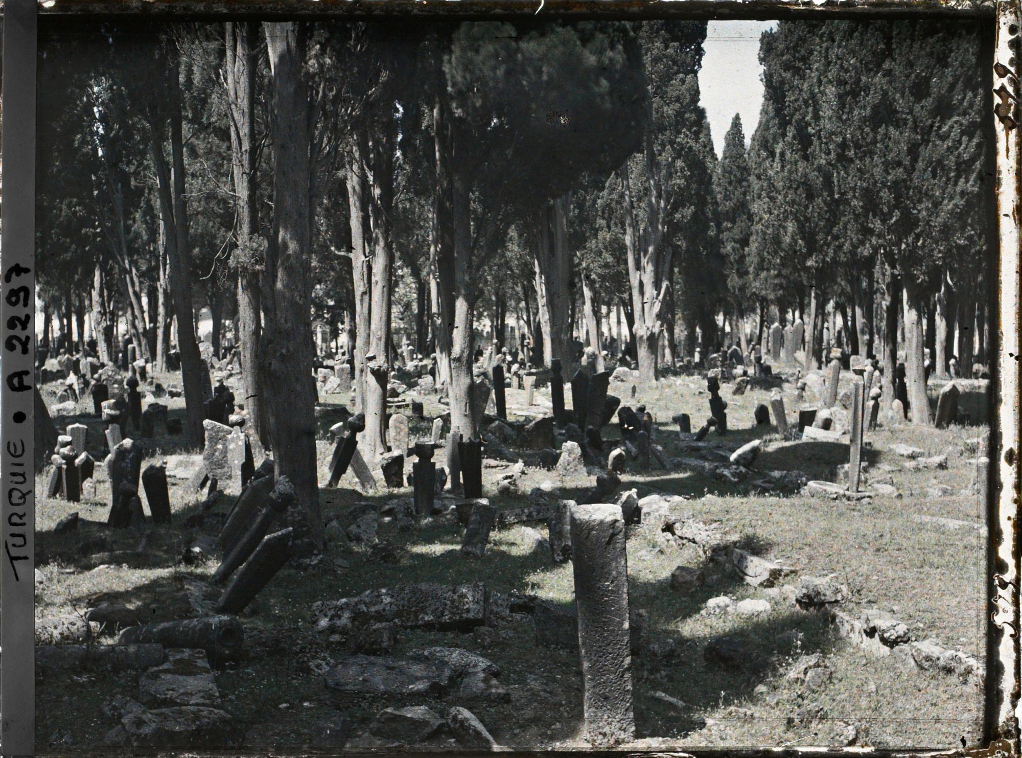 Image représentant Tombes et colonnes funéraires dans le cimetière de Karacaahmet ou Büyük Mezaristan ("Grand cimetière") au milieu d'un bois de cyprès