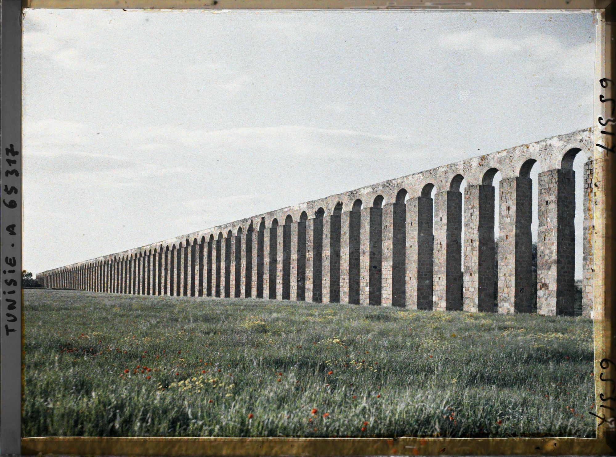 Image représentant L'aqueduc romain reliant Zaghouan à Carthage