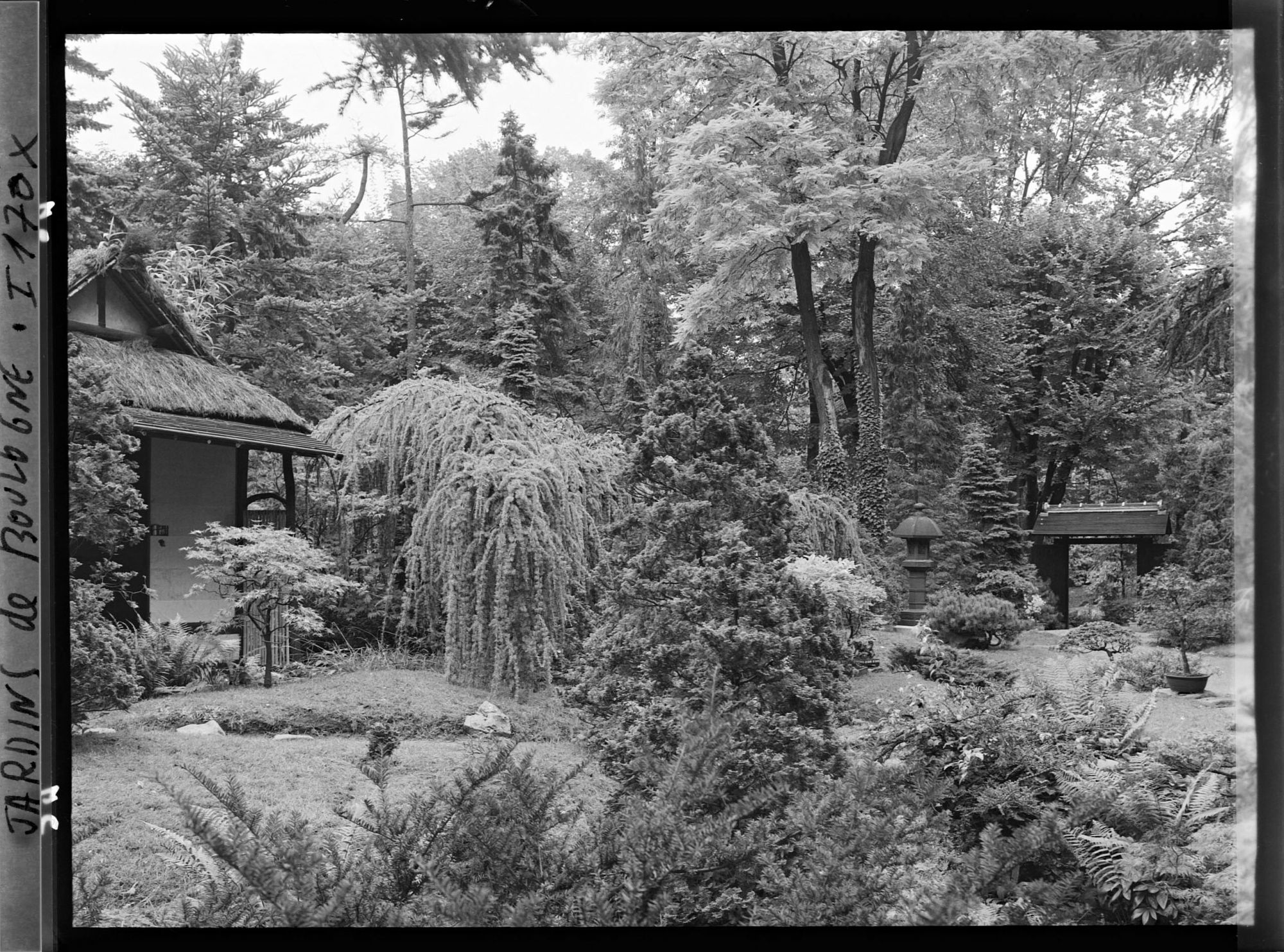 Image représentant Partie de la façade principale du pavillon de thé et coin de jardin à l'est du " village japonais "