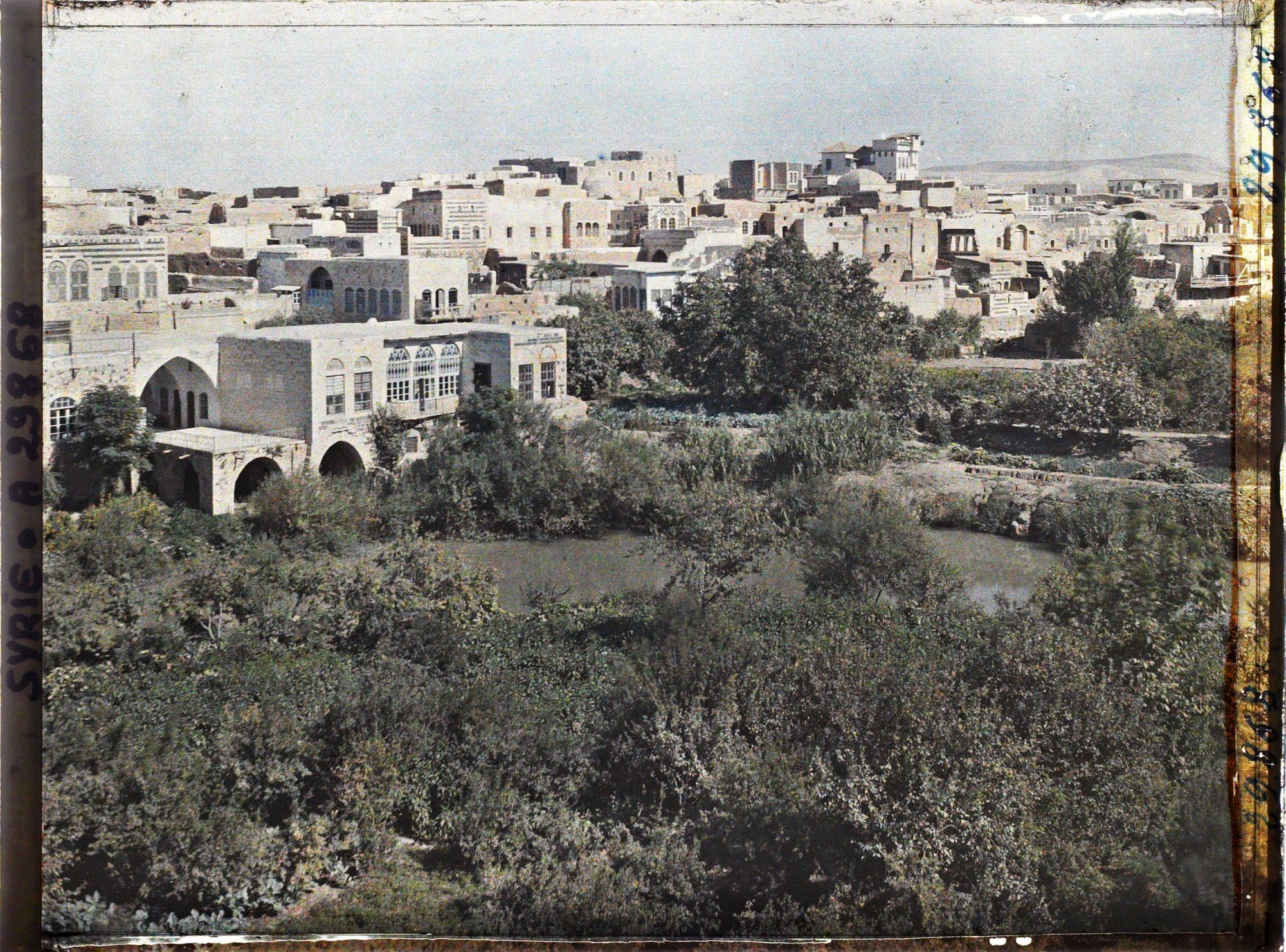 Image représentant Les jardins et vergers des rives de l'Oronte et la ville
