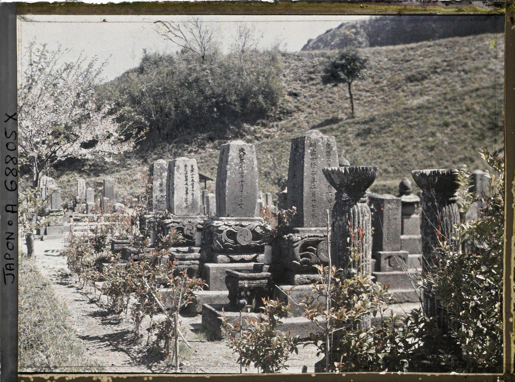 Image représentant Le cimetière (peut-être celui du quartier Kagoshimasômuta) près de la colline Shiroyama : tombes bouddhistes