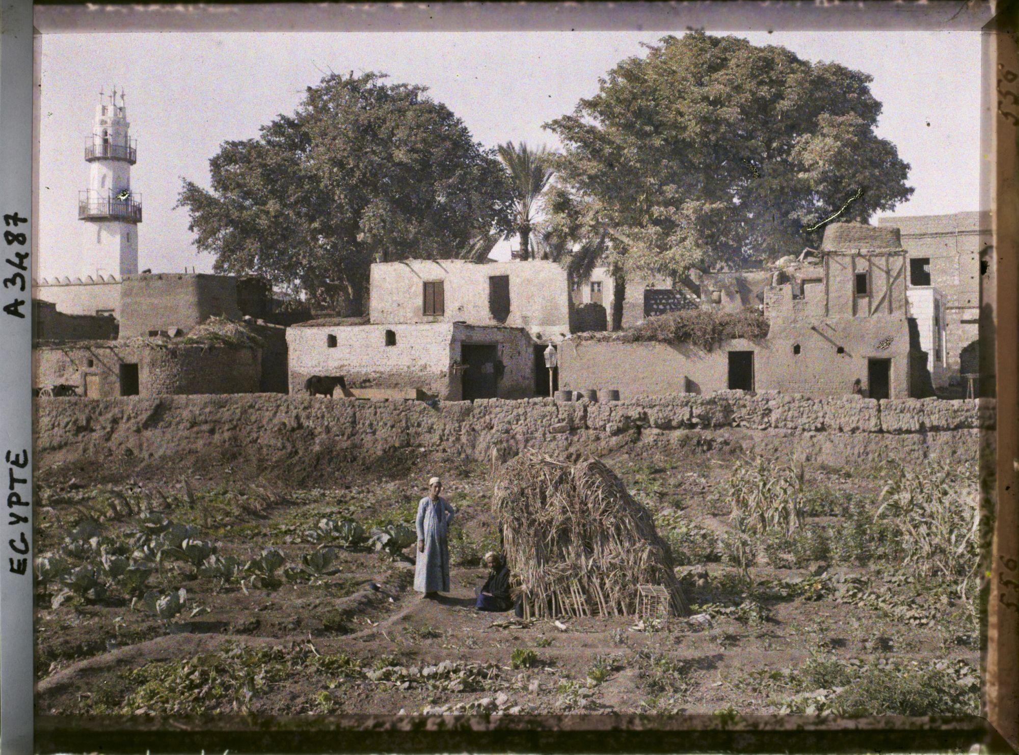Image représentant Deux hommes dans un jardin potager aux abords du village