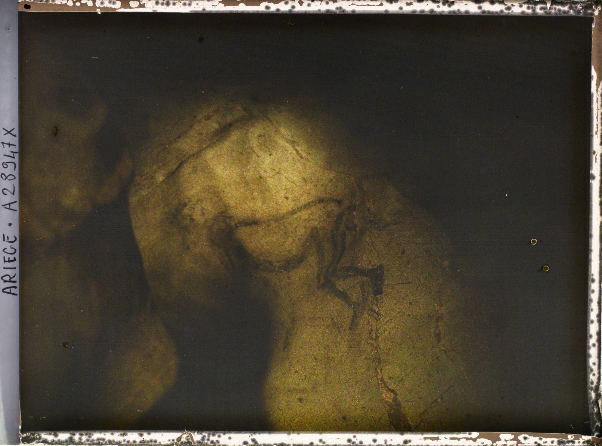 Image représentant La grotte des Trois-Frères : le sorcier