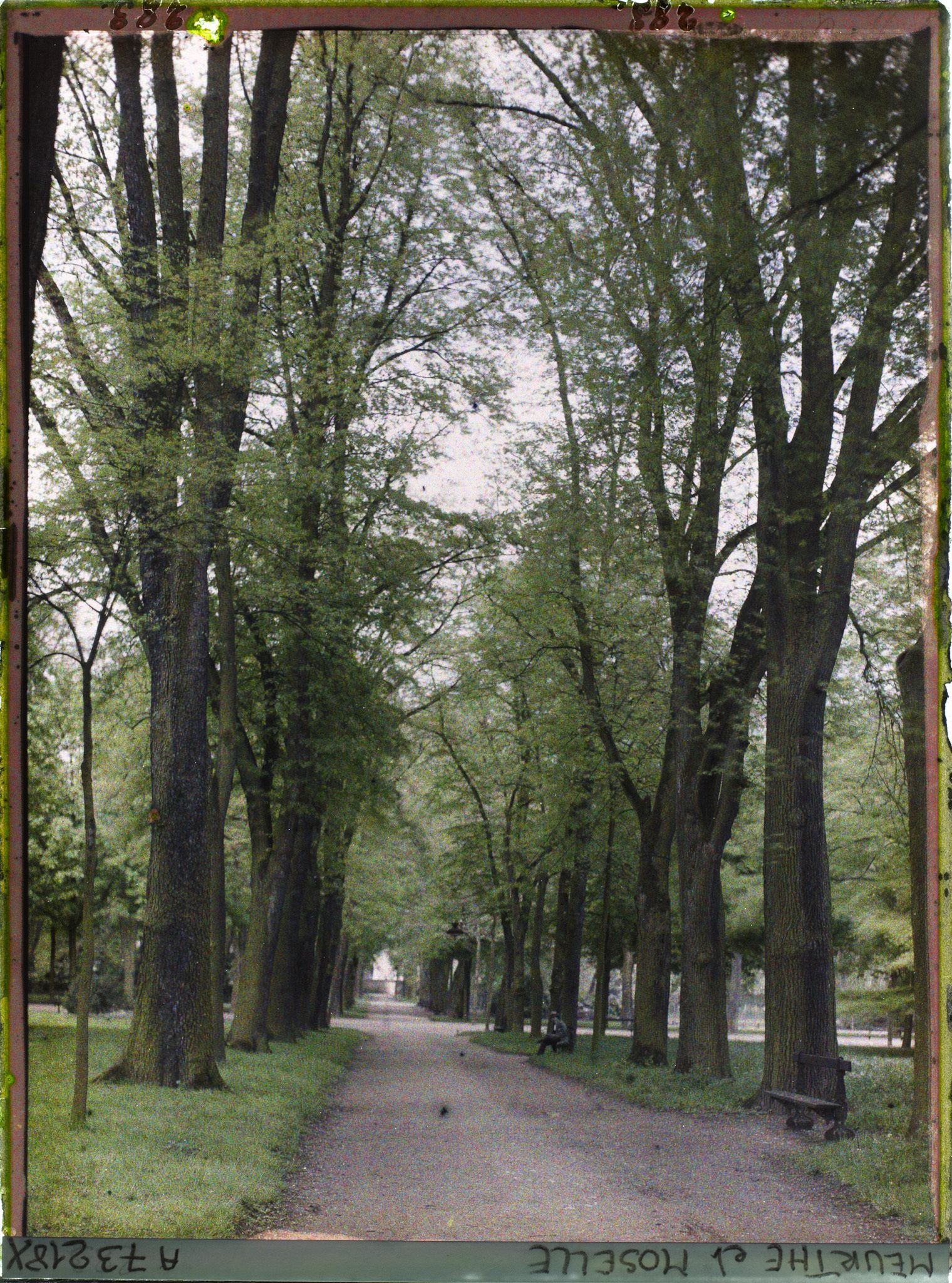 Image représentant Parc de la Pépinière