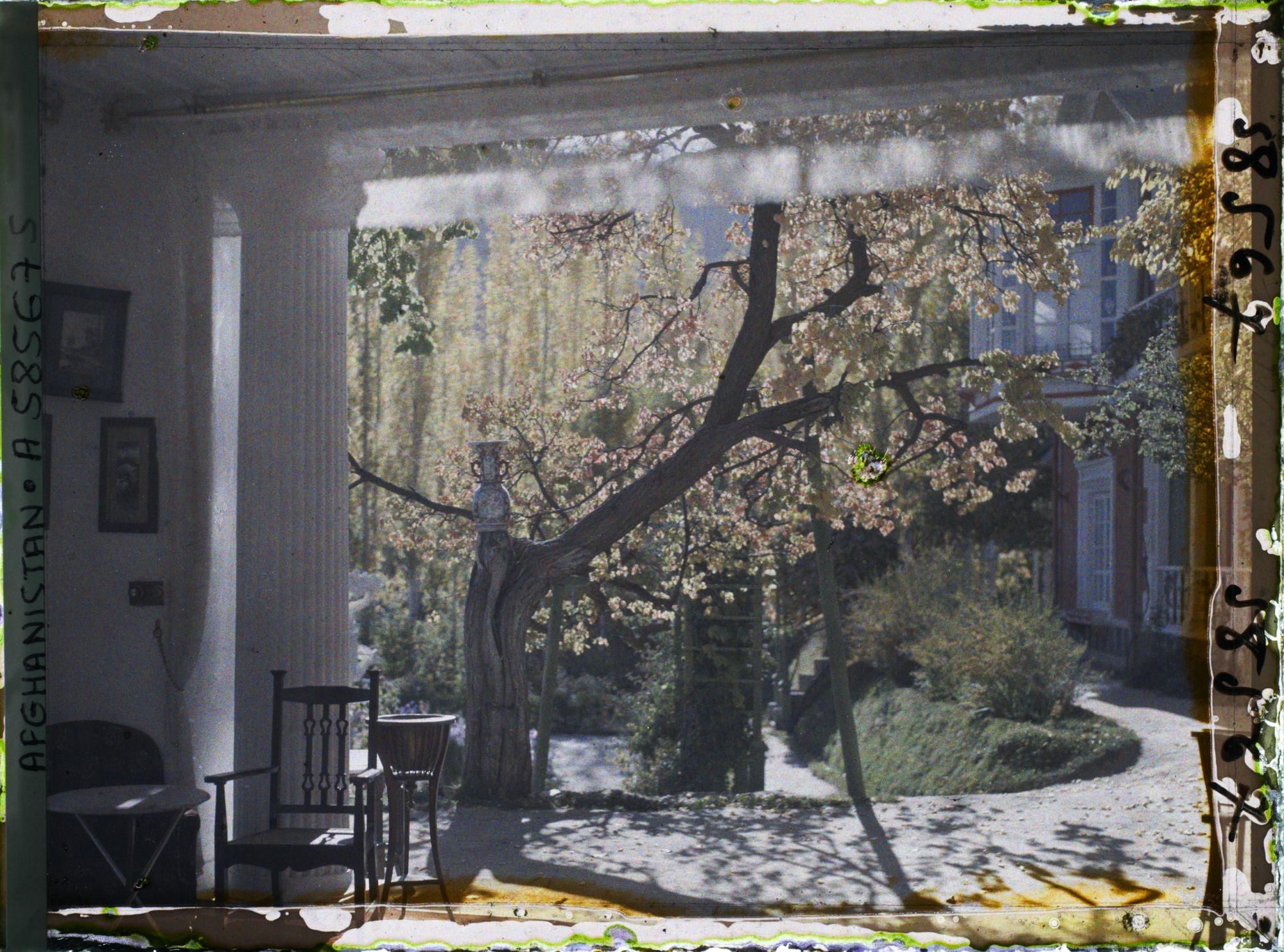 Image représentant Afghanistan, Kaboul, Jardin du Palais du Roi - Une vue prise de la rotonde travail