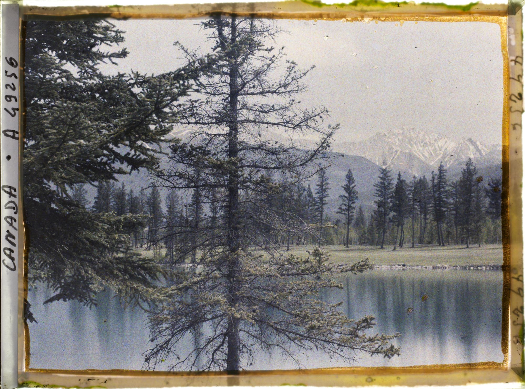 Image représentant Canada, Jasper-Parc, Vue vers le Vieil Homme