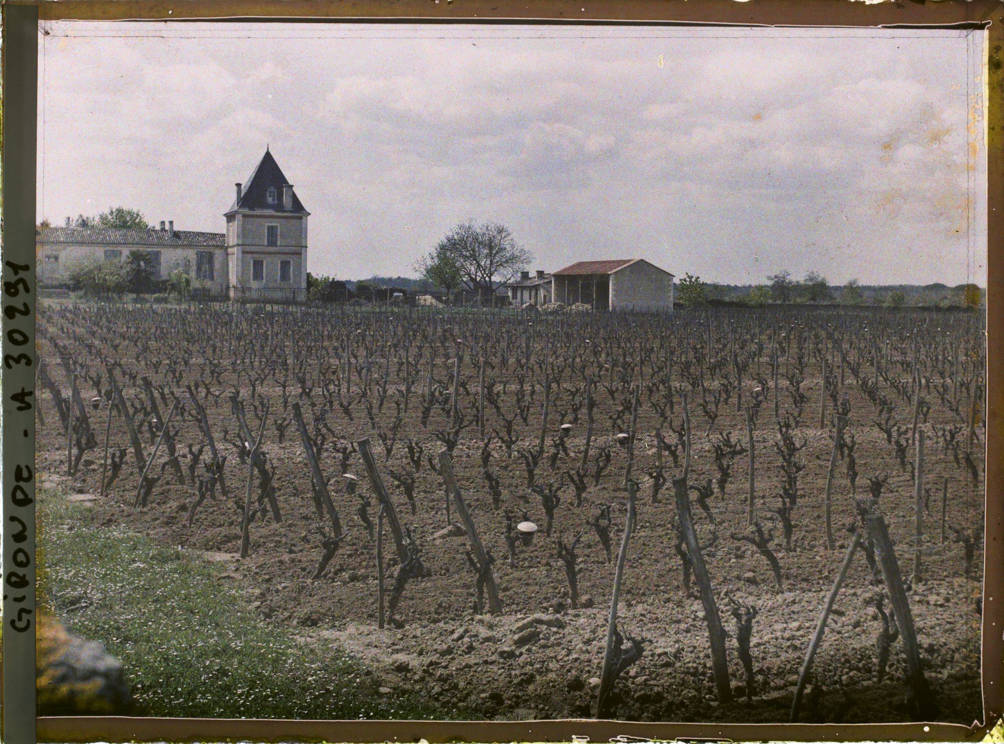 Image représentant France, Vignobles de la Gironde aux environs de Sauternes : Chau Climens, grand 1er Crû, vue d'ensemble.