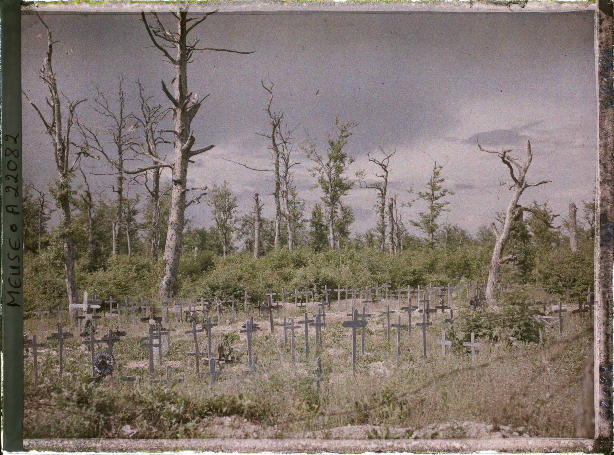 Image représentant France, Tranchées de Calonnes, Cimetière français dans le Bois Haut (Cimetière de l'Ouvrage)