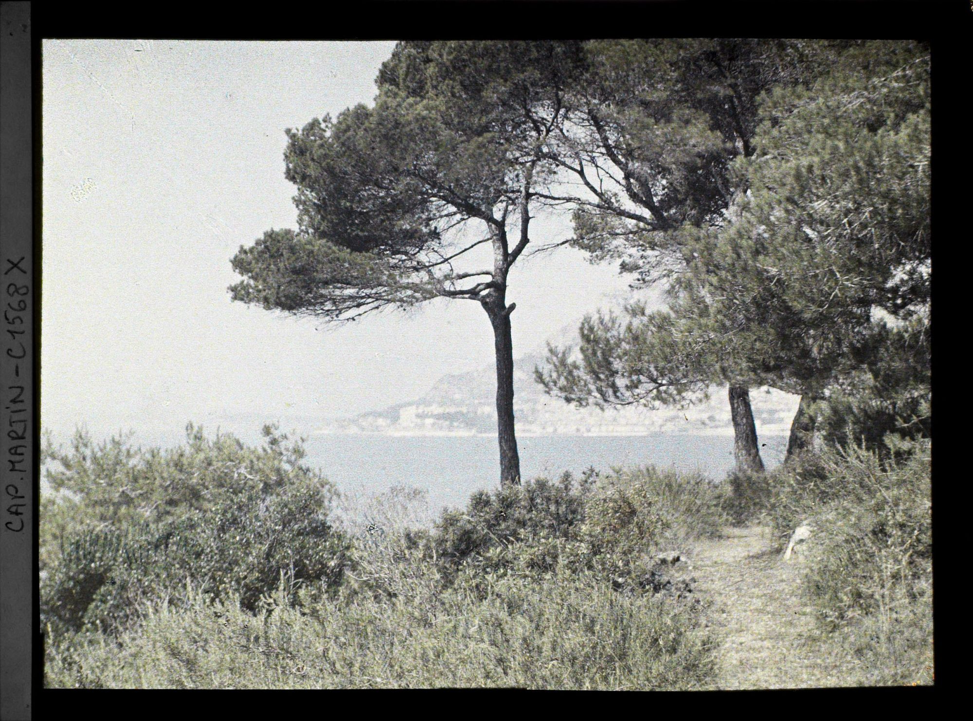 Image représentant Chemin situé en partie basse du jardin, vu en direction de Monaco