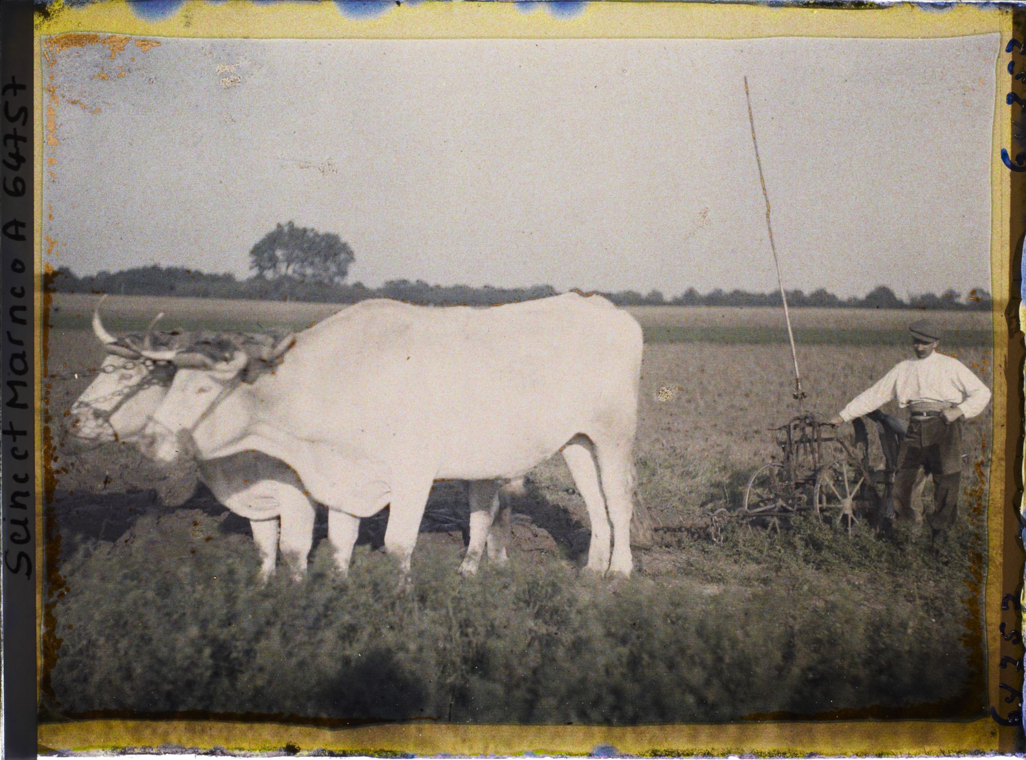 Image représentant Seine et Marne, Vaires, Charrue à traction animale