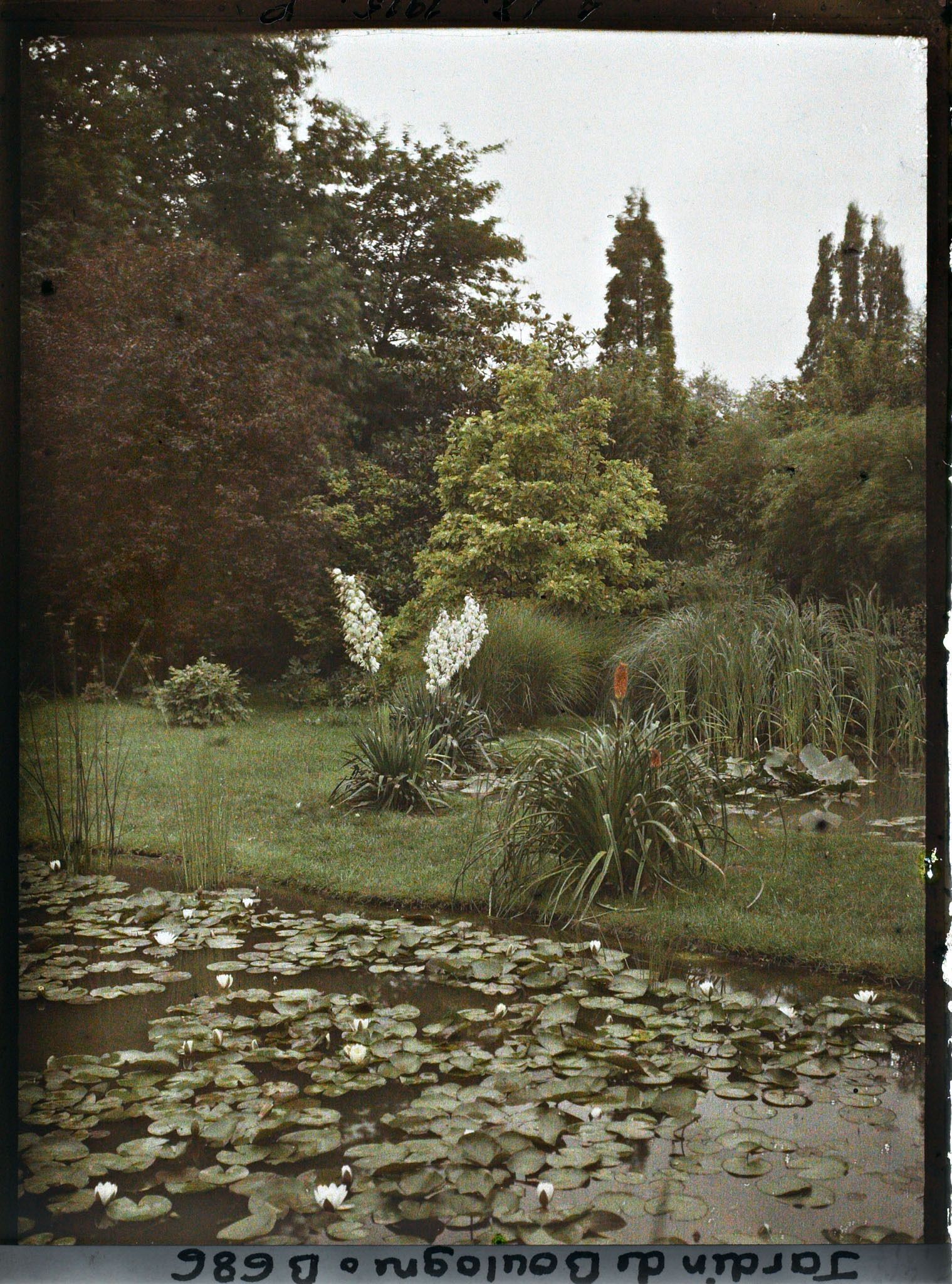 Image représentant IF8039_B000686.jpg