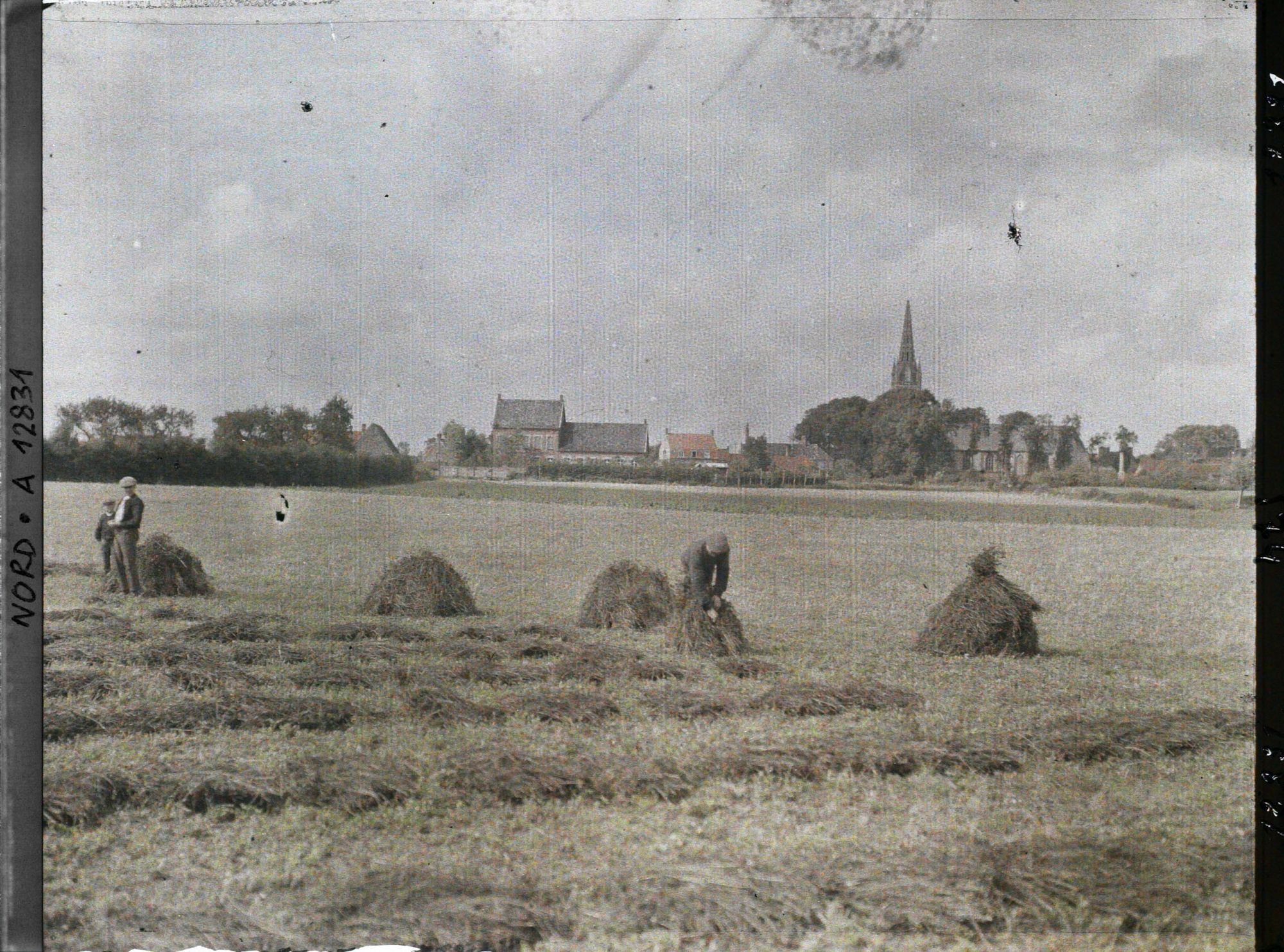 Image représentant France, Rexpoède, Le Trèfle