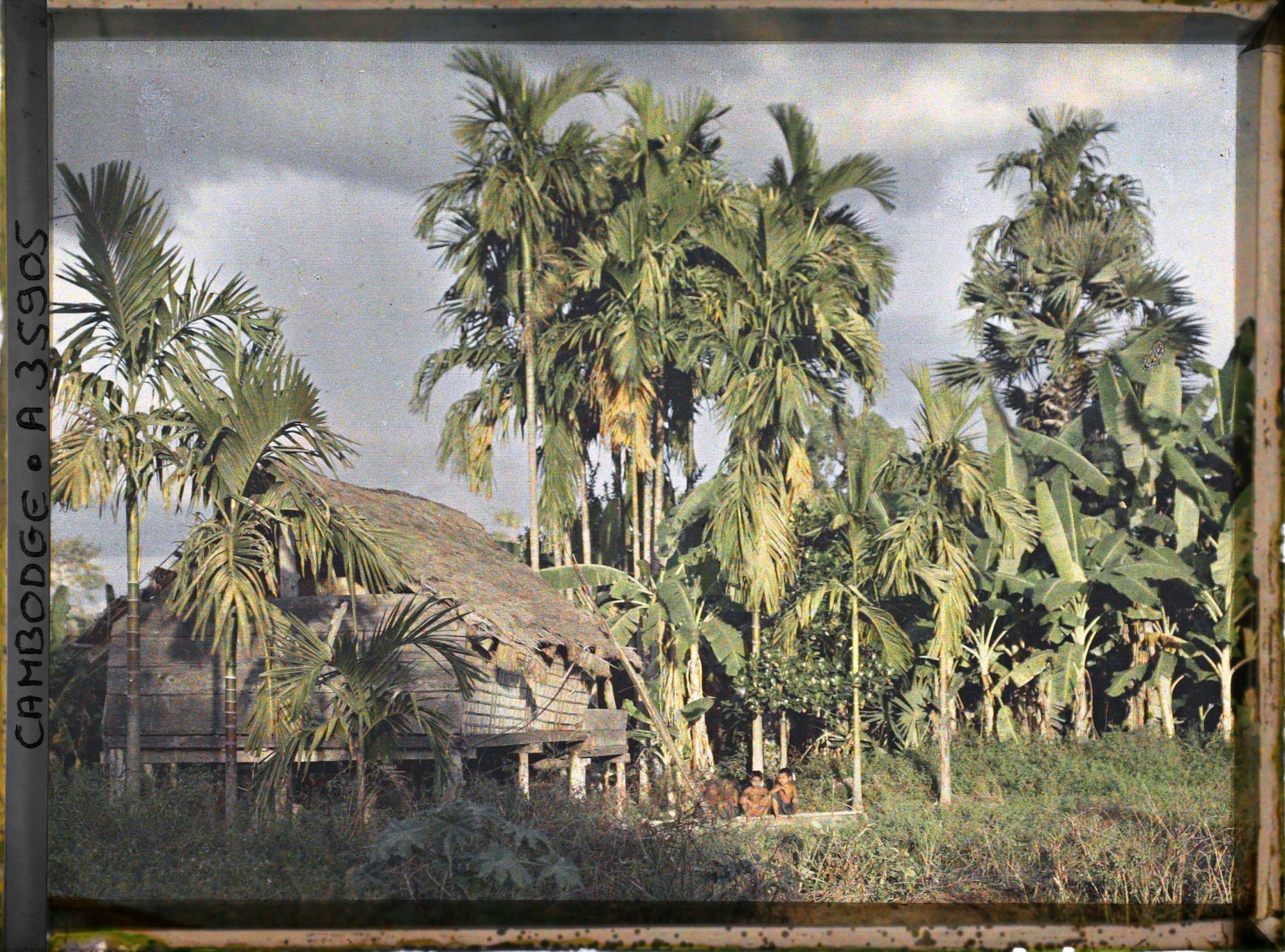 Image représentant Une maison sur pilotis, entourée de palmiers et de bananiers au soleil couchant
