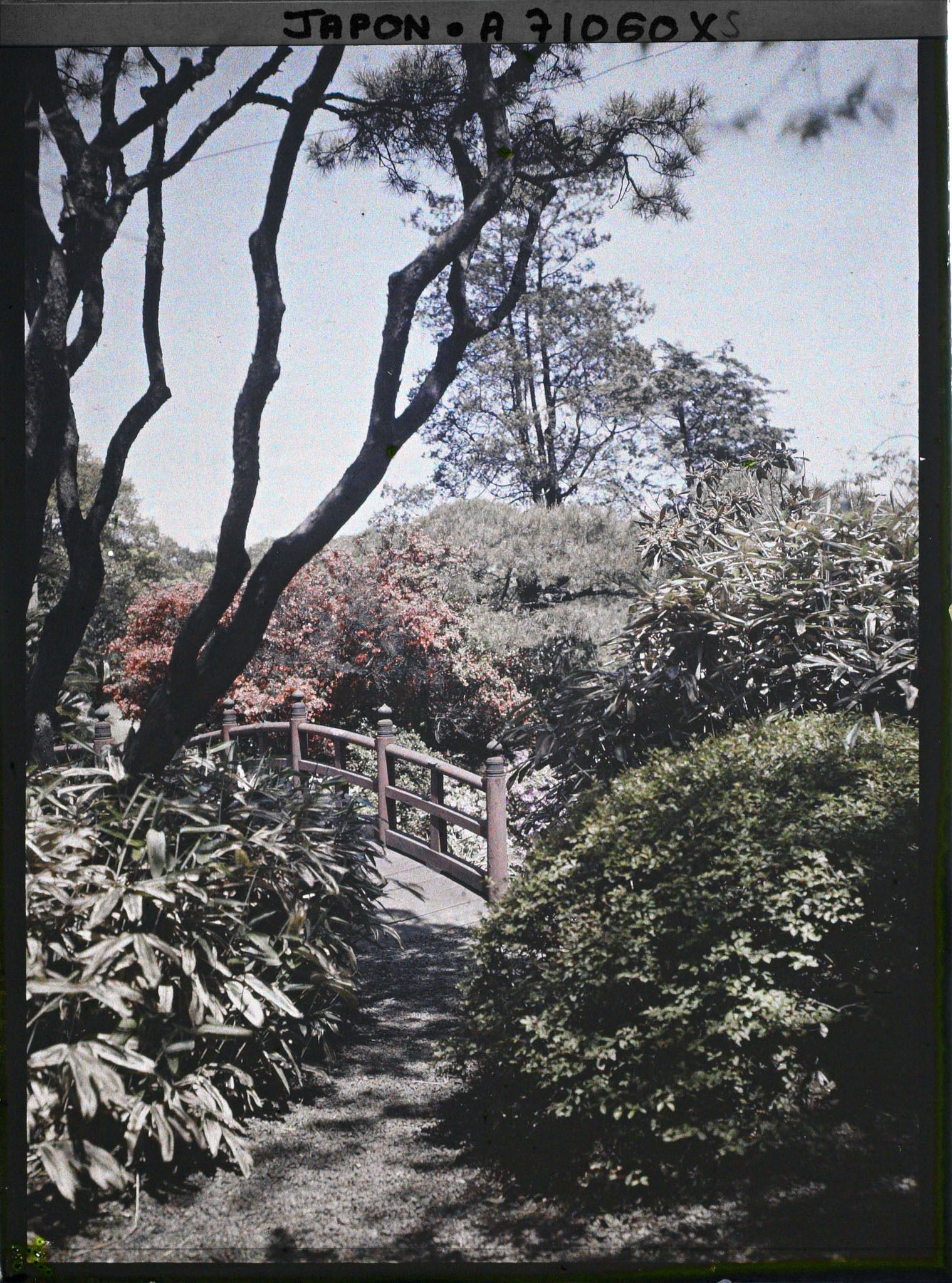 Image représentant Jardin d'une résidence