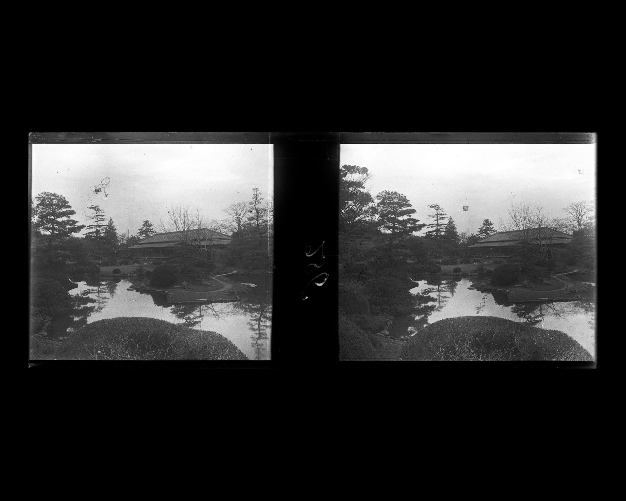 Image représentant Le jardin botanique de l'Université impériale de Tokyo