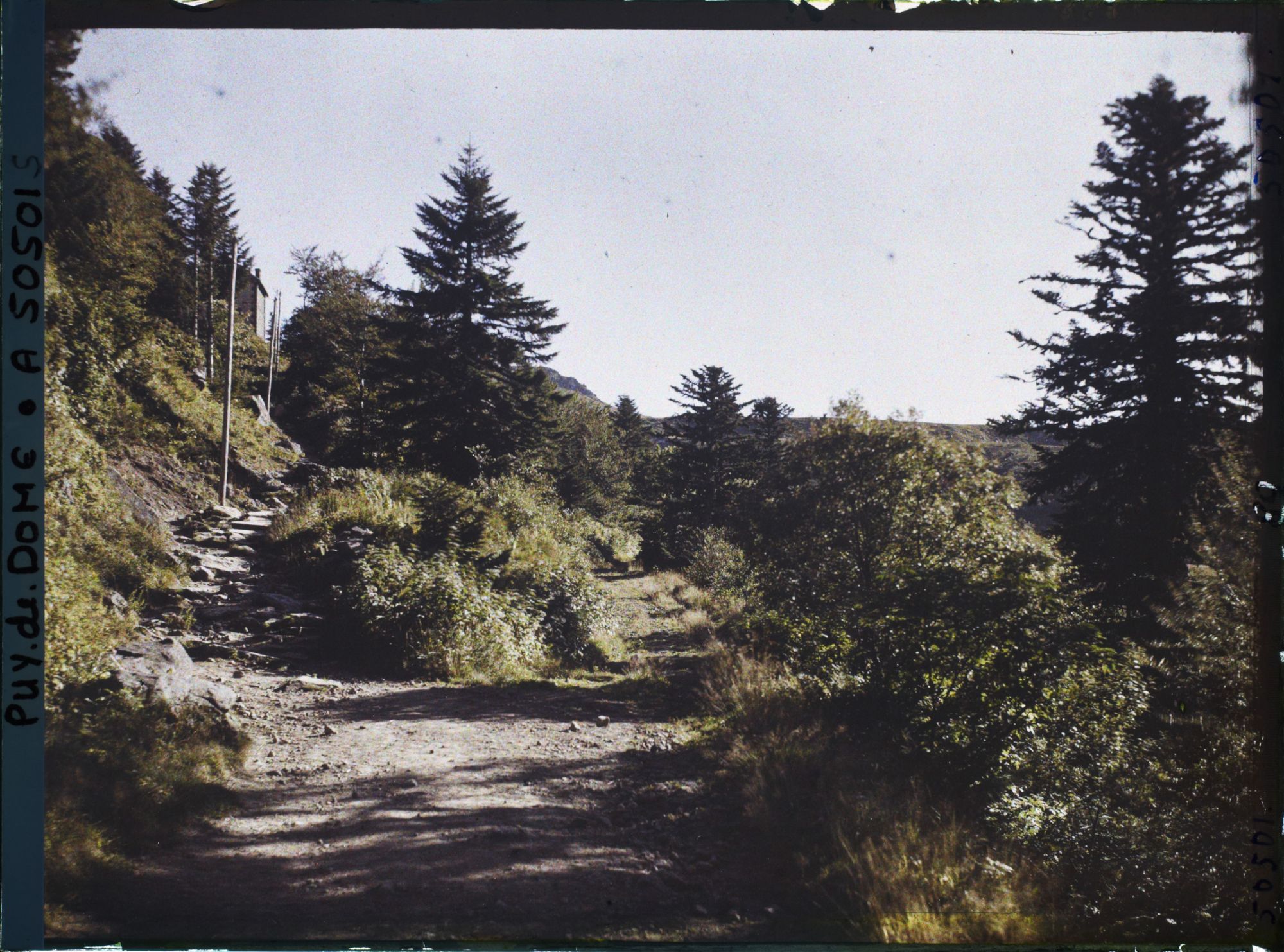 Image représentant France, Mont Dore, Route Conduisant au Pic du Capucin